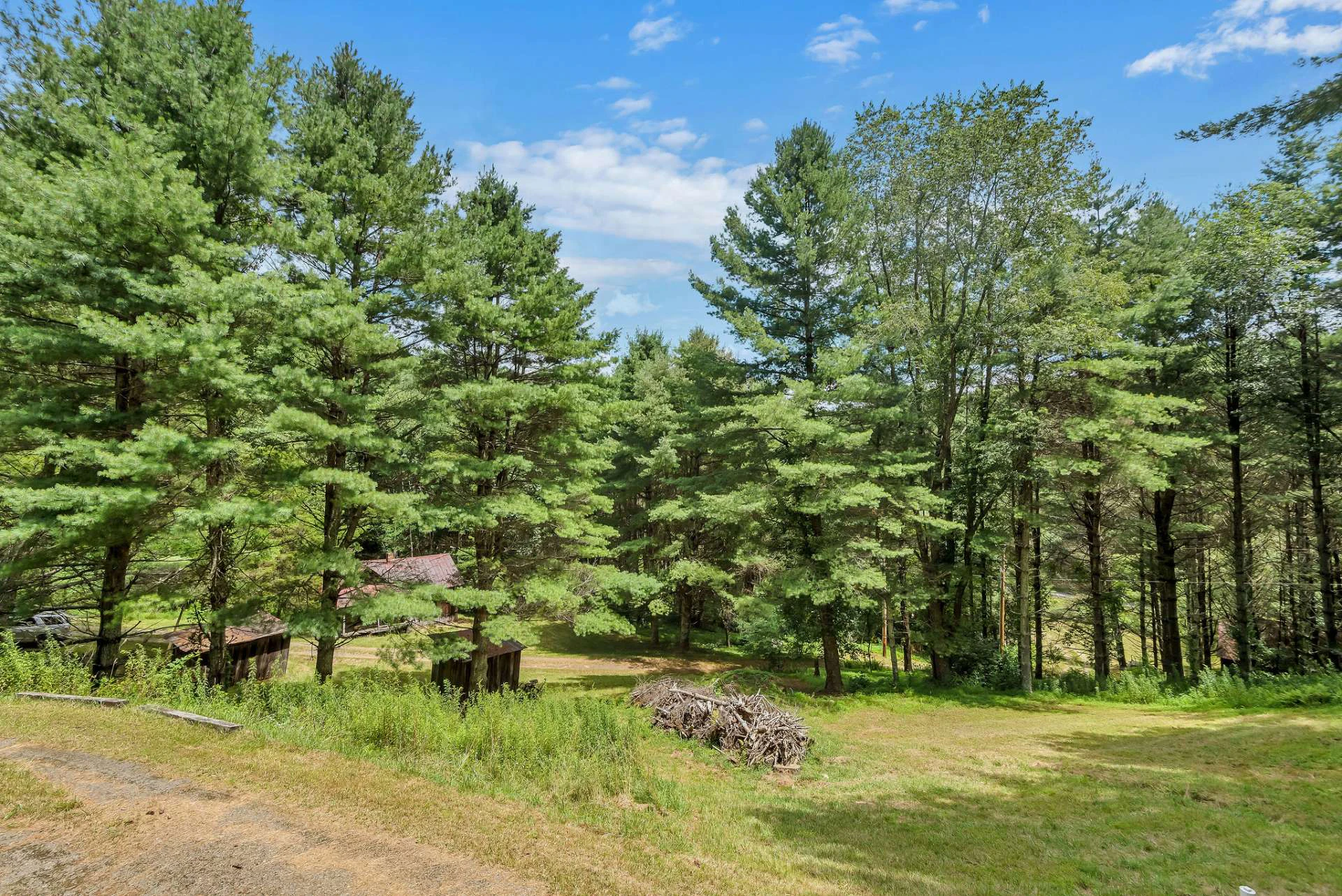 Image number 2 for the current listing