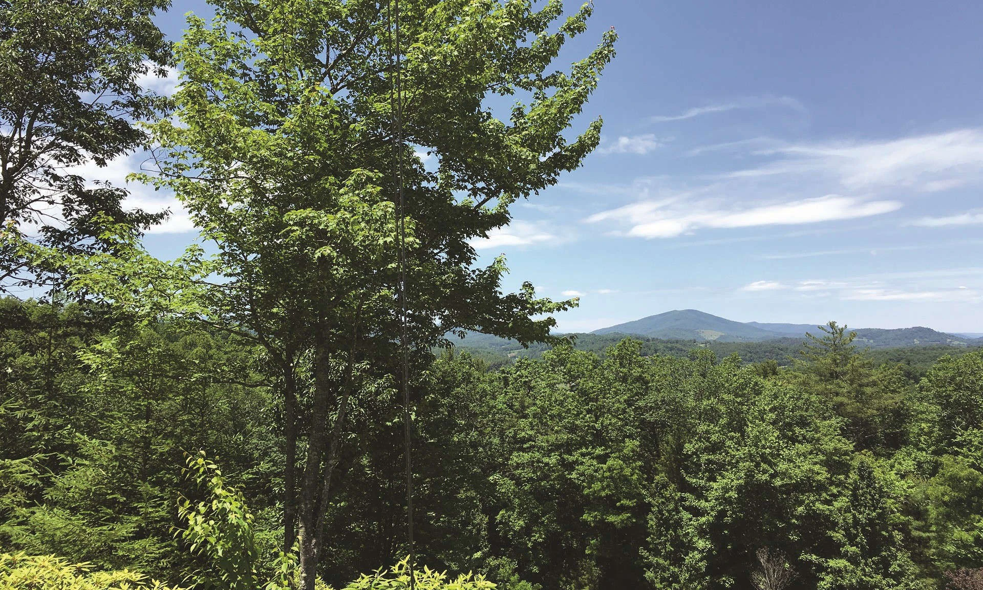 Image number 1 for the current listing