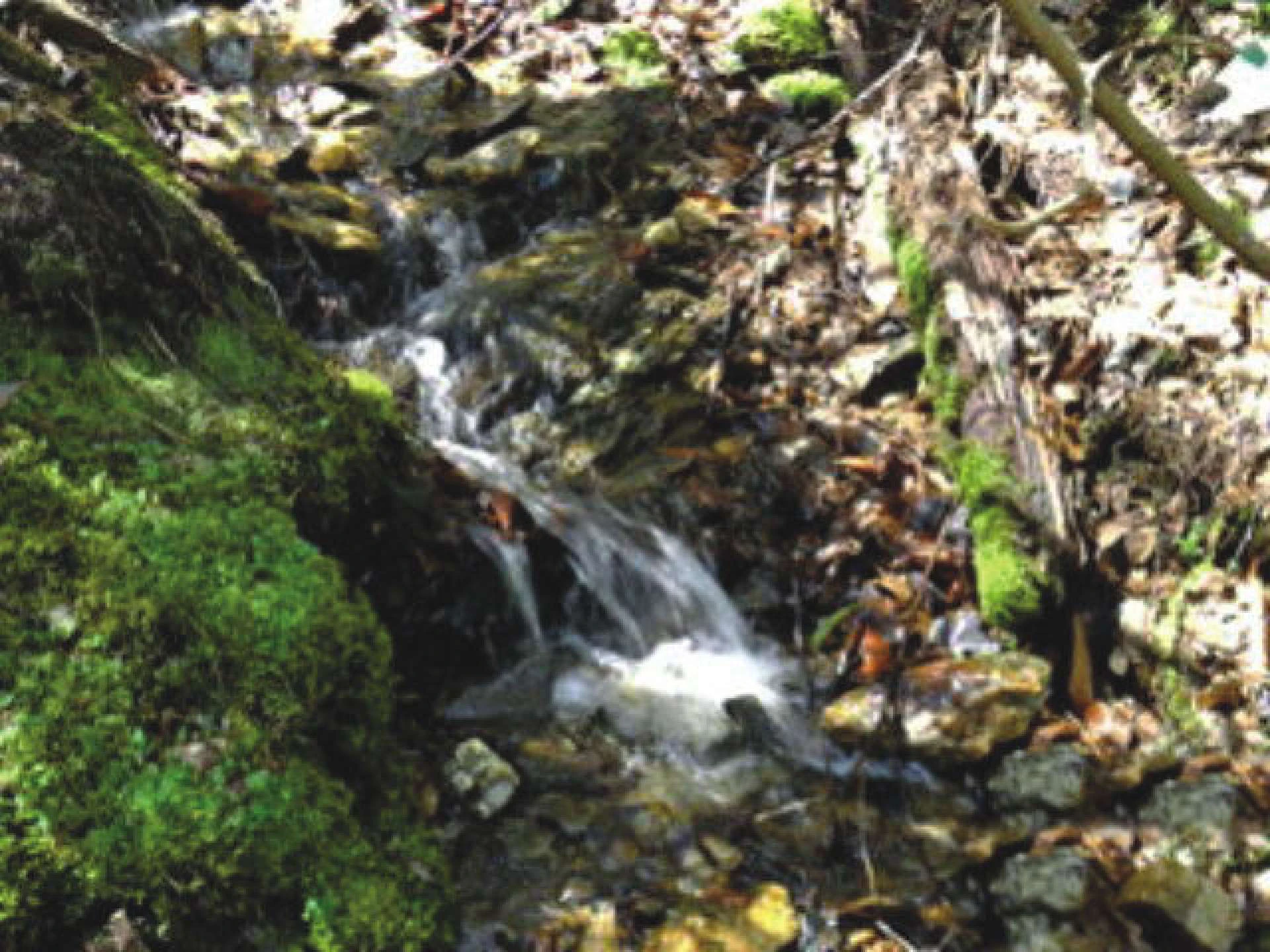 Image number 3 for the current listing
