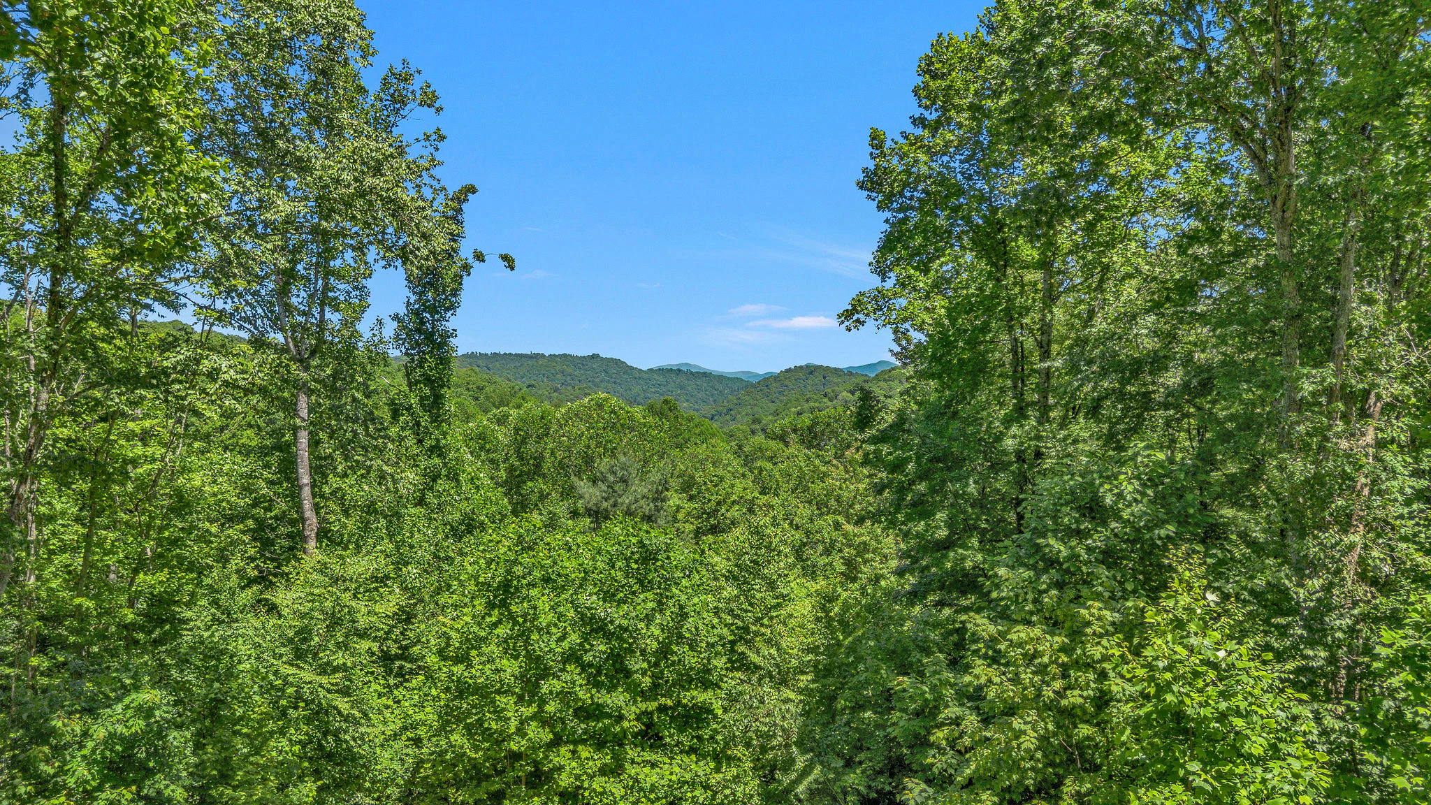 Image number 3 for the current listing