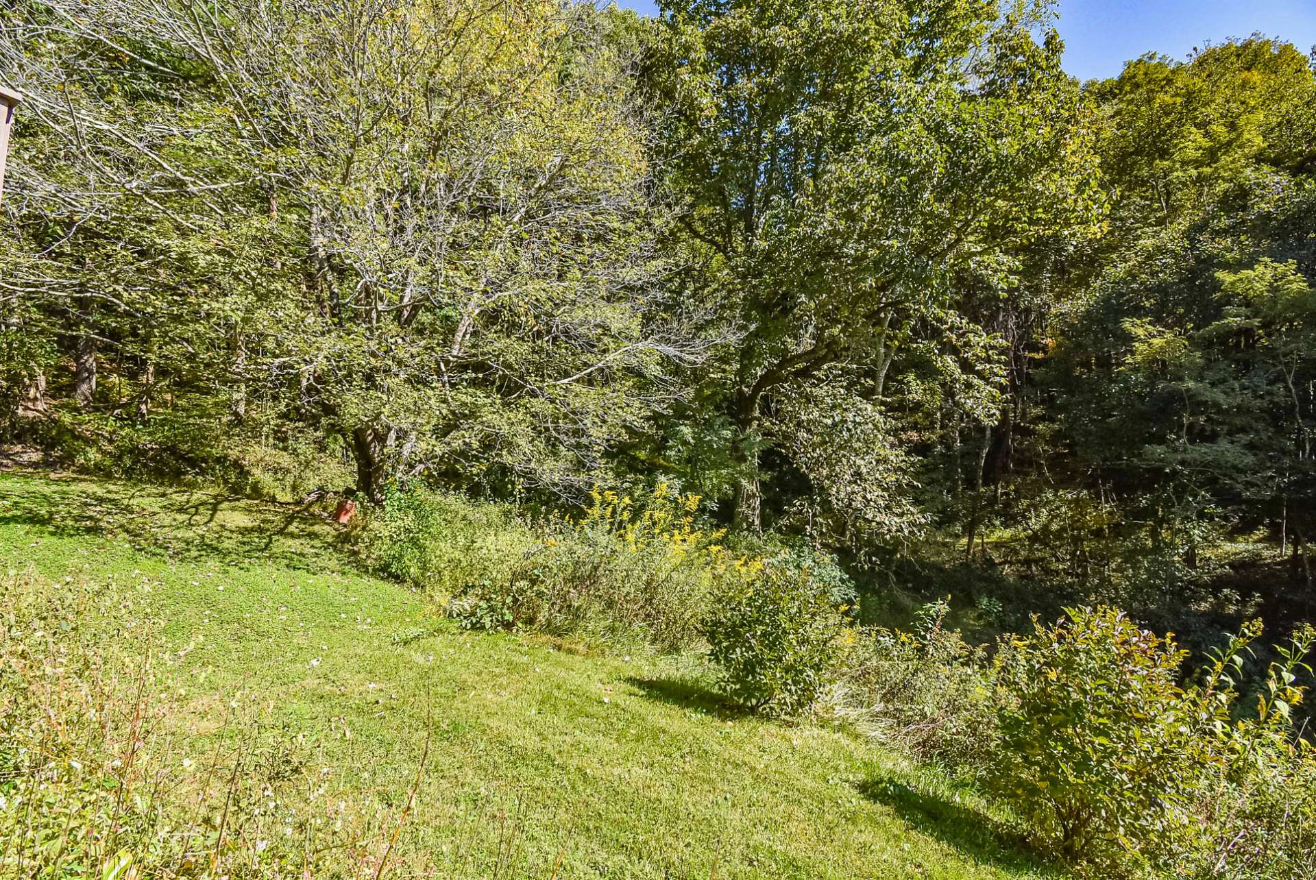 Image number 12 for the current listing
