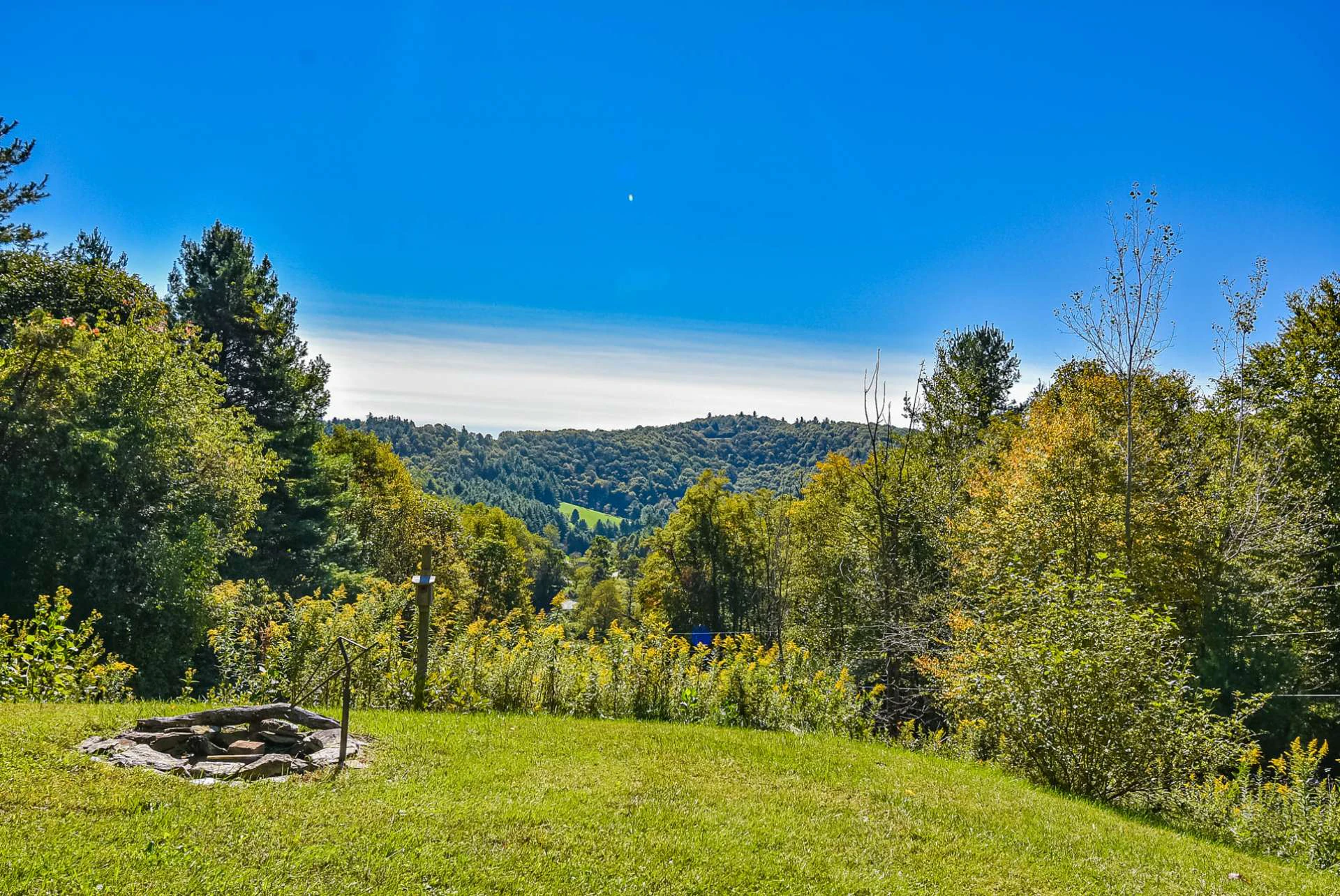Image number 8 for the current listing