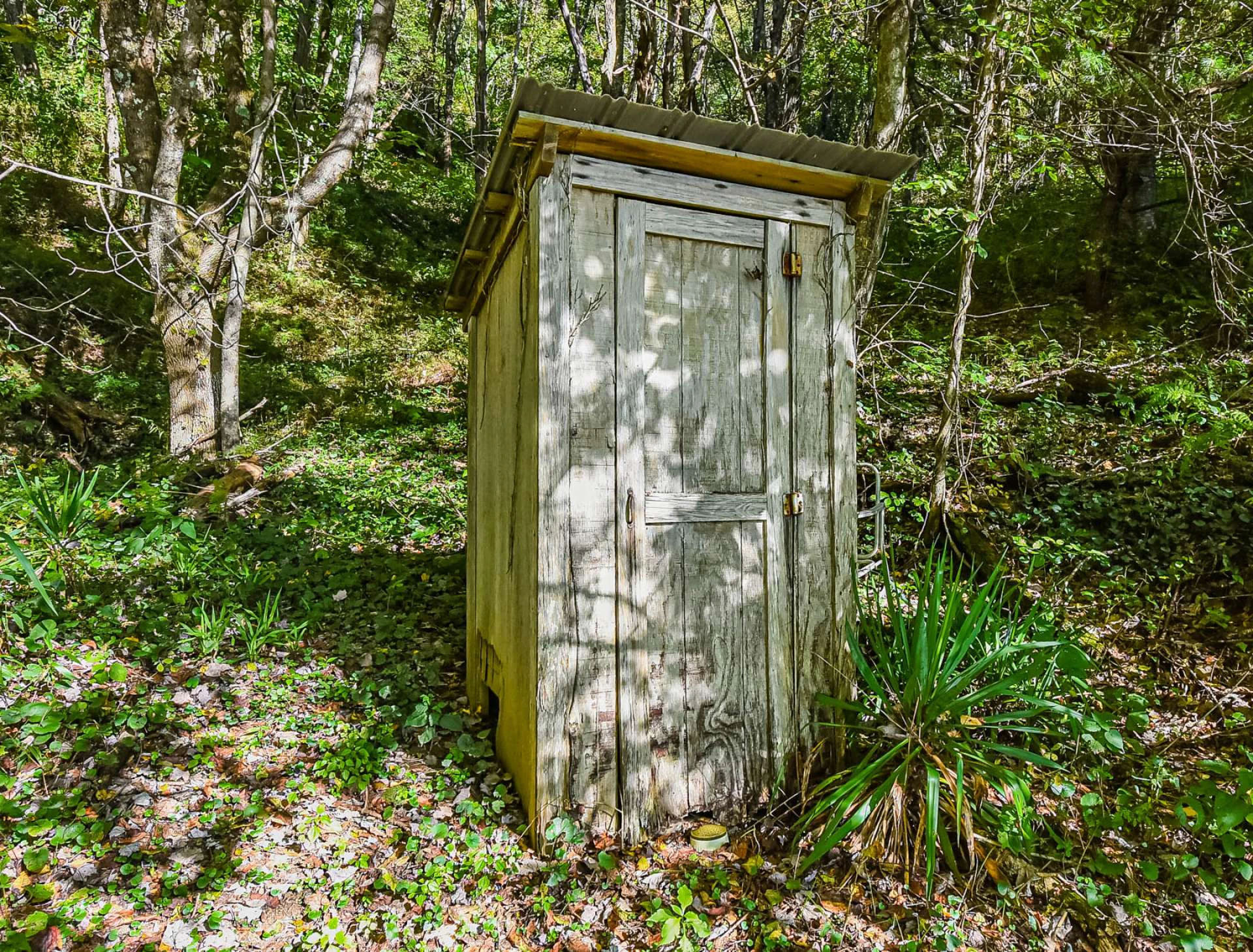 Image number 2 for the current listing