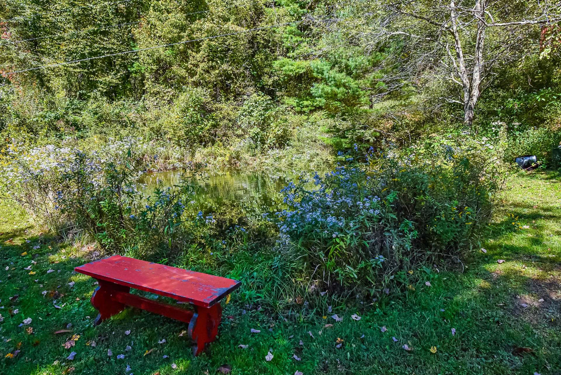 Image number 16 for the current listing
