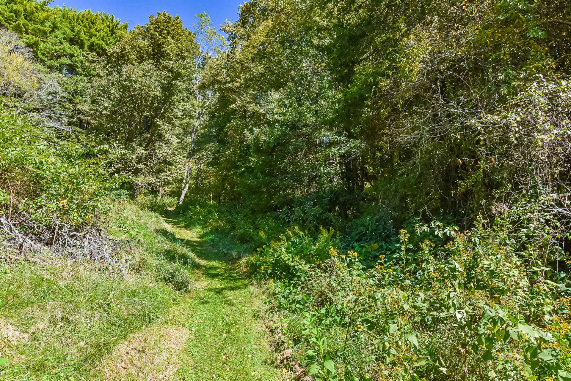 Image number 21 for the current listing