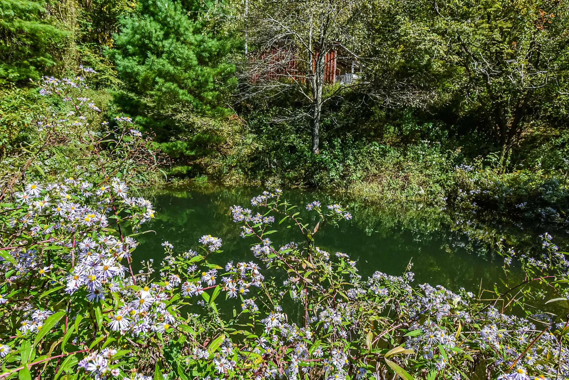 Image number 15 for the current listing