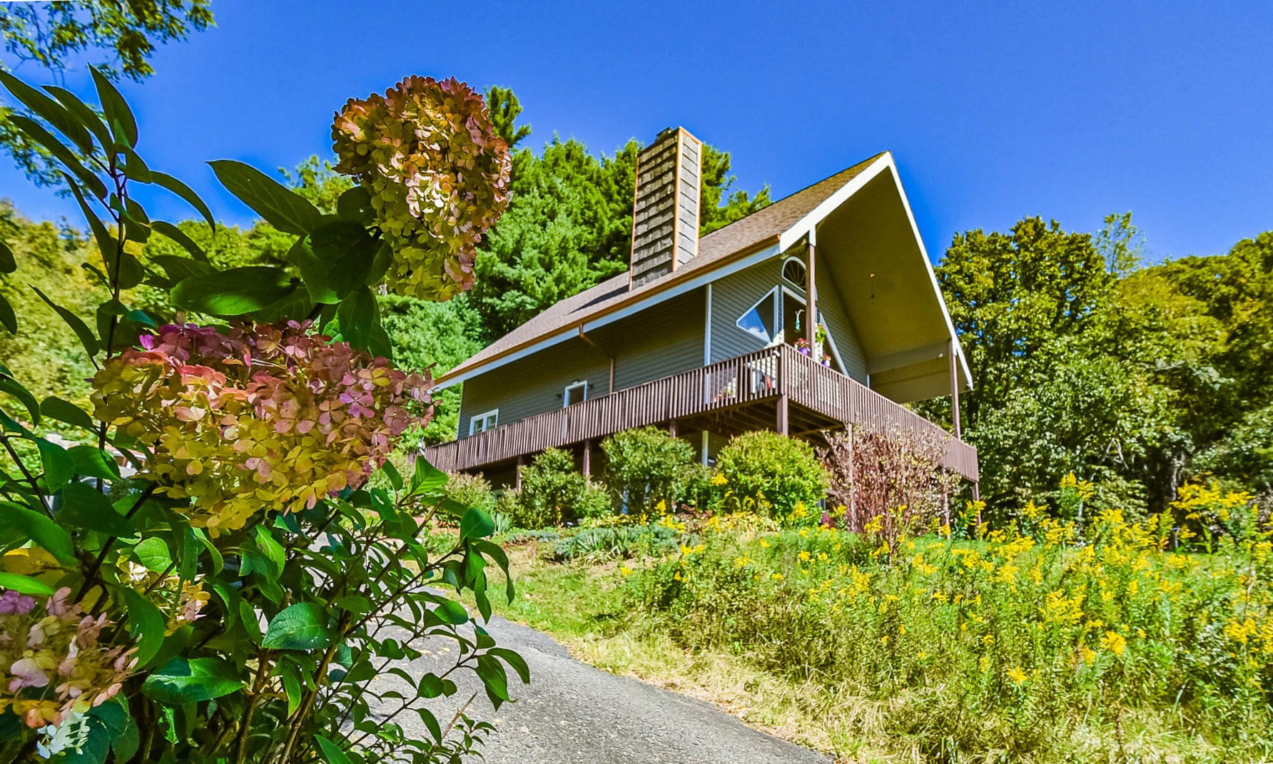 Image number 1 for the current listing