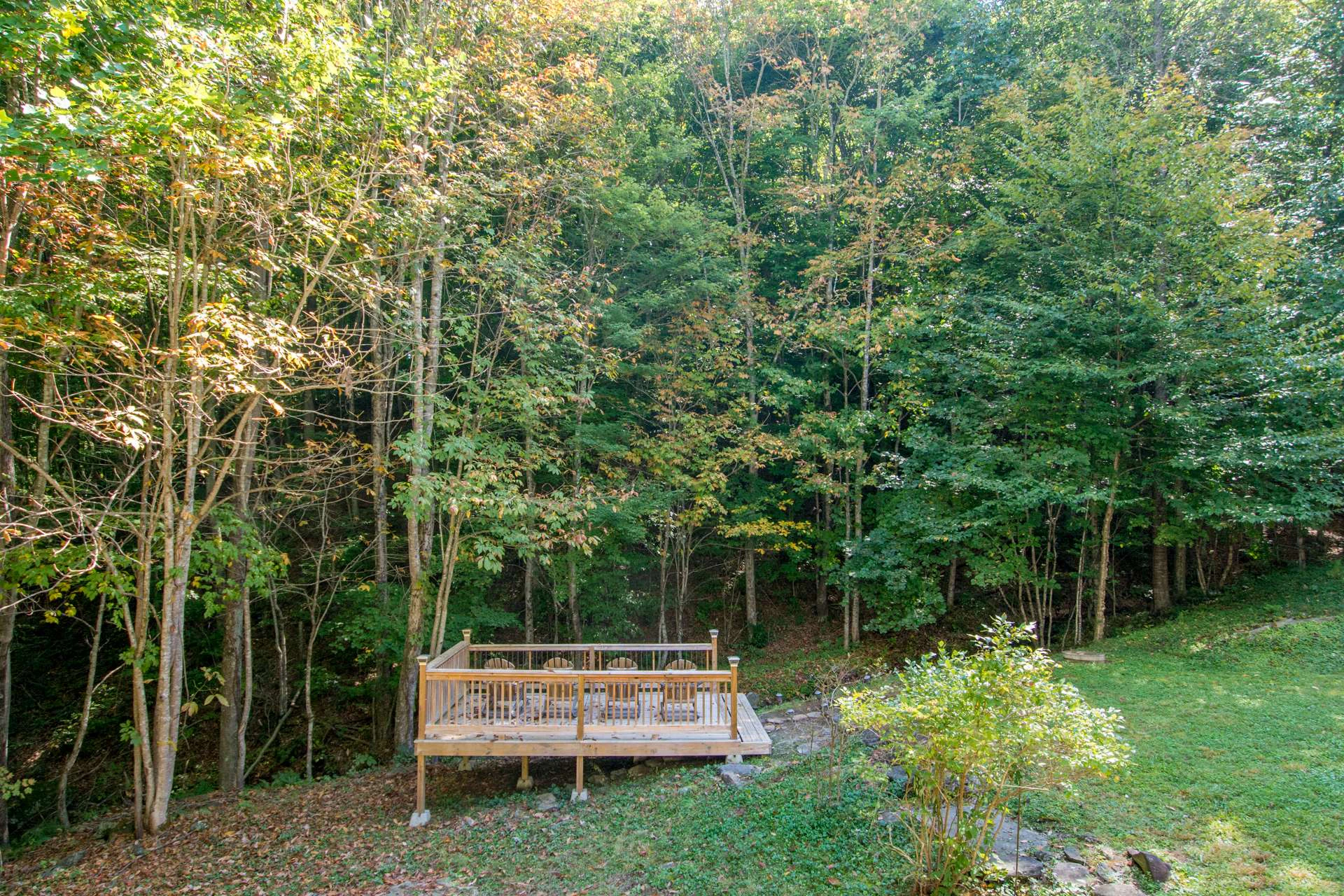 Image number 16 for the current listing