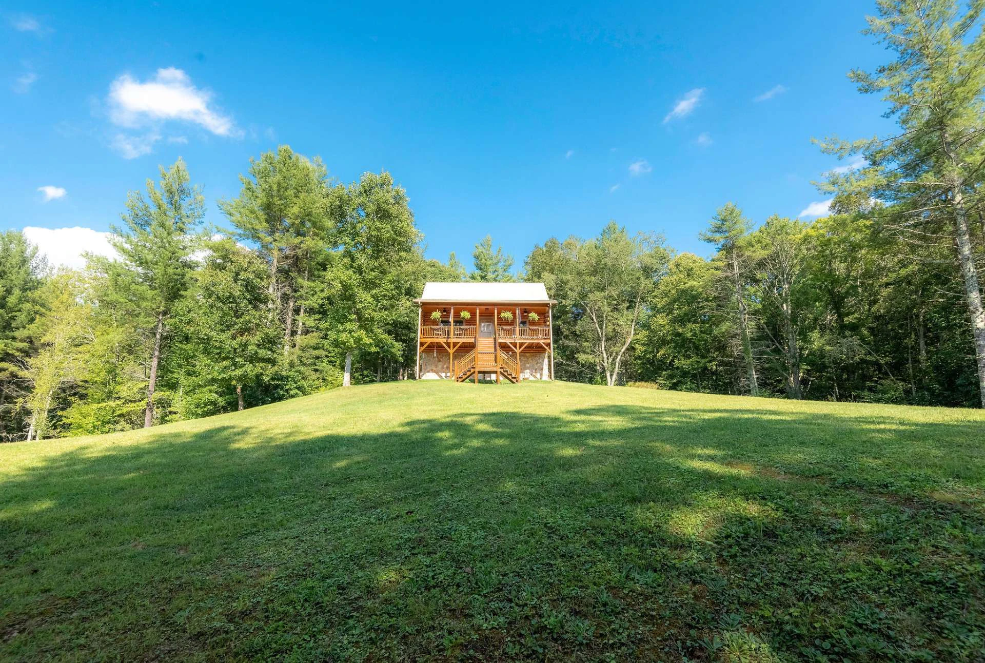 Image number 4 for the current listing