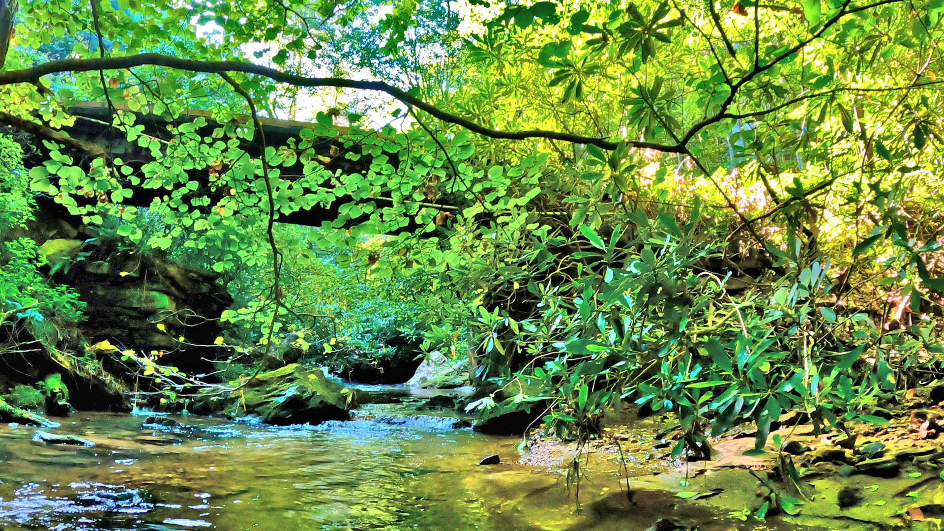 Image number 17 for the current listing