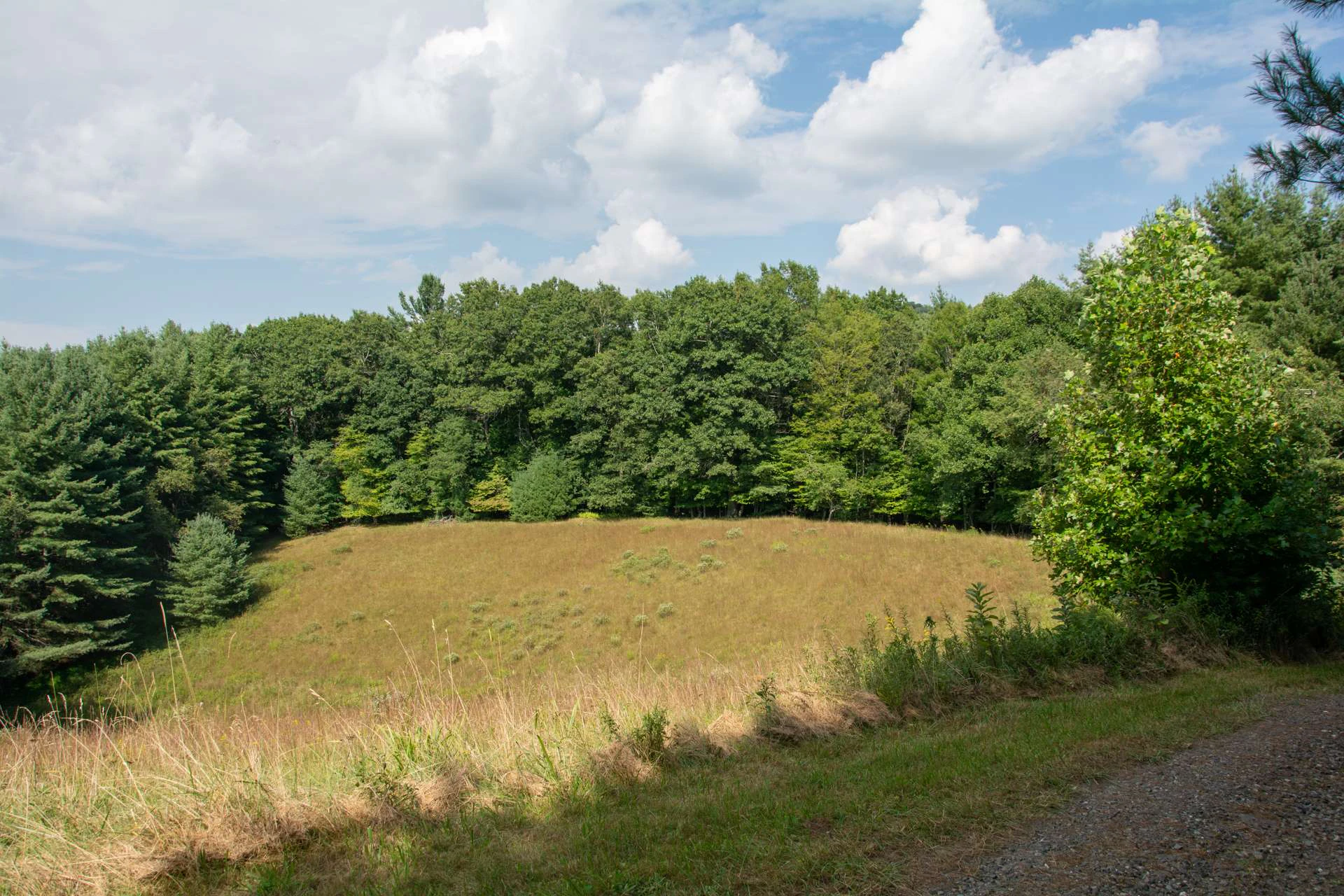 Image number 9 for the current listing