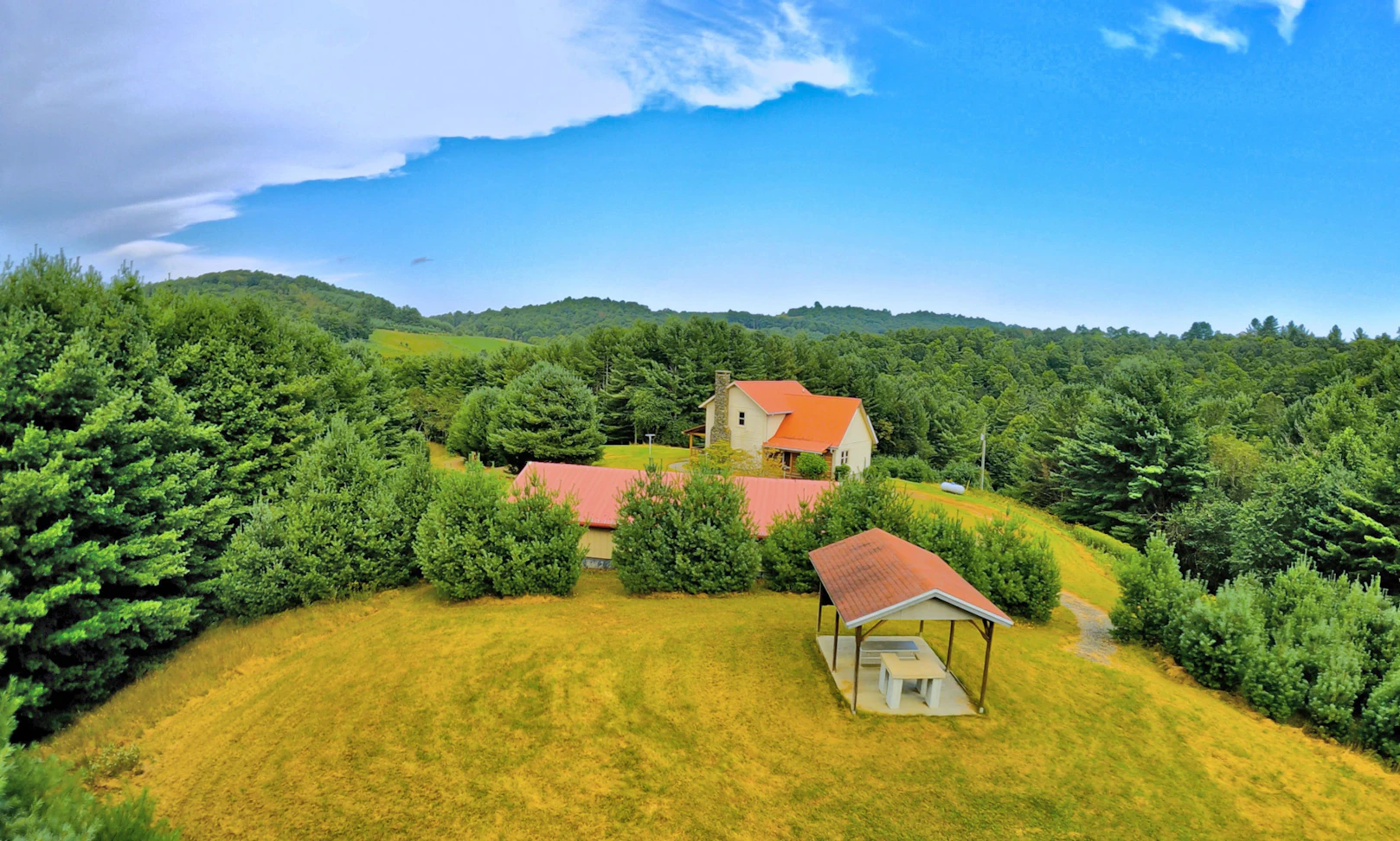 Image number 1 for the current listing