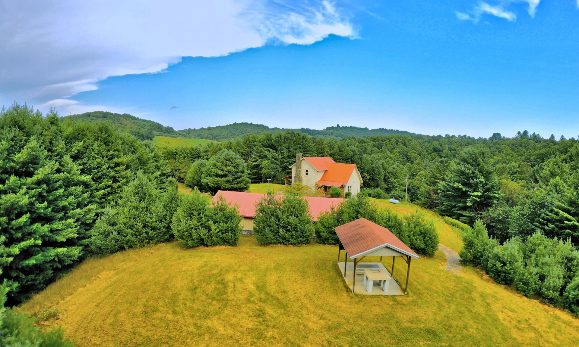 Image number 1 for the current listing