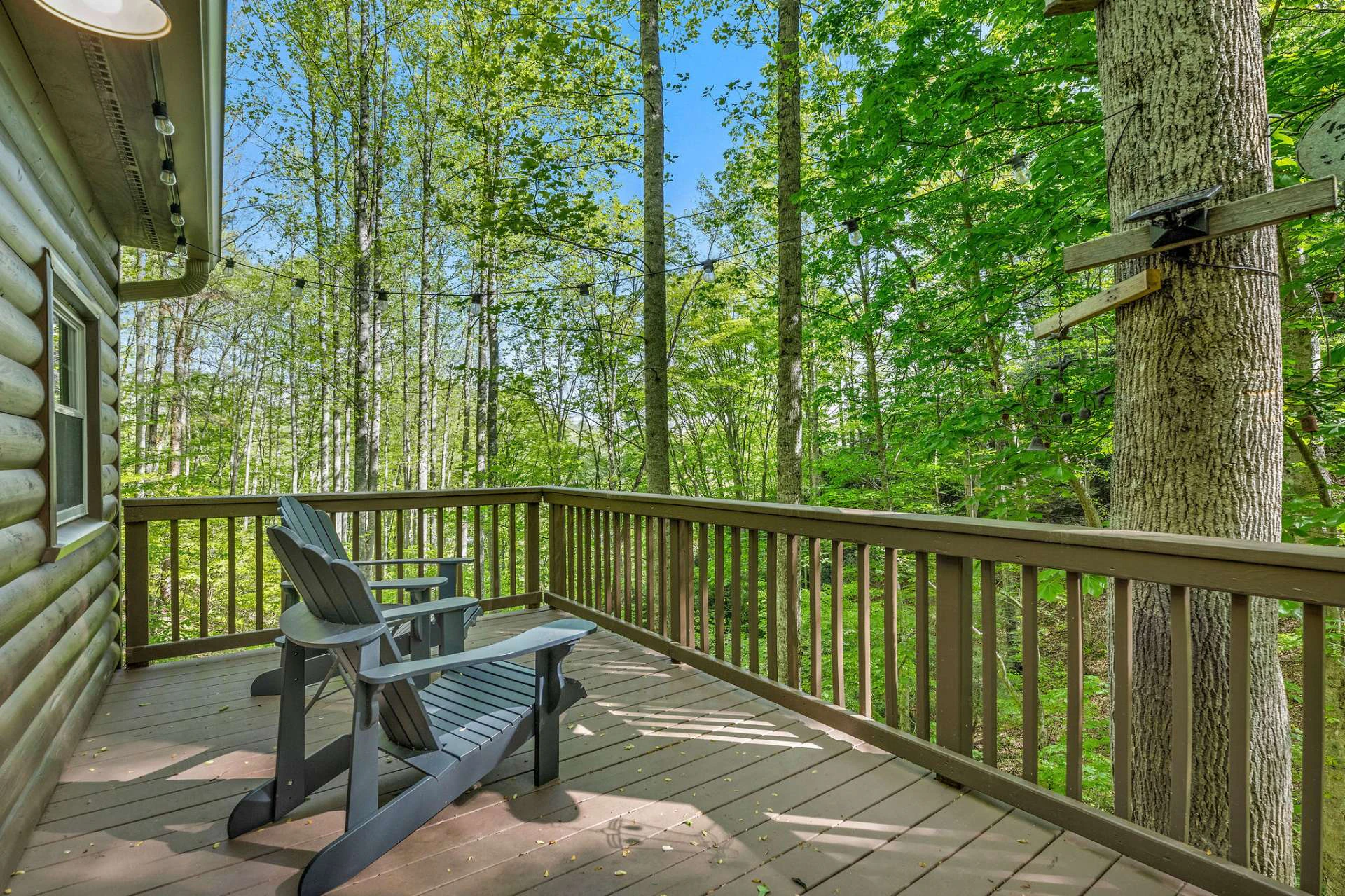 Image number 3 for the current listing