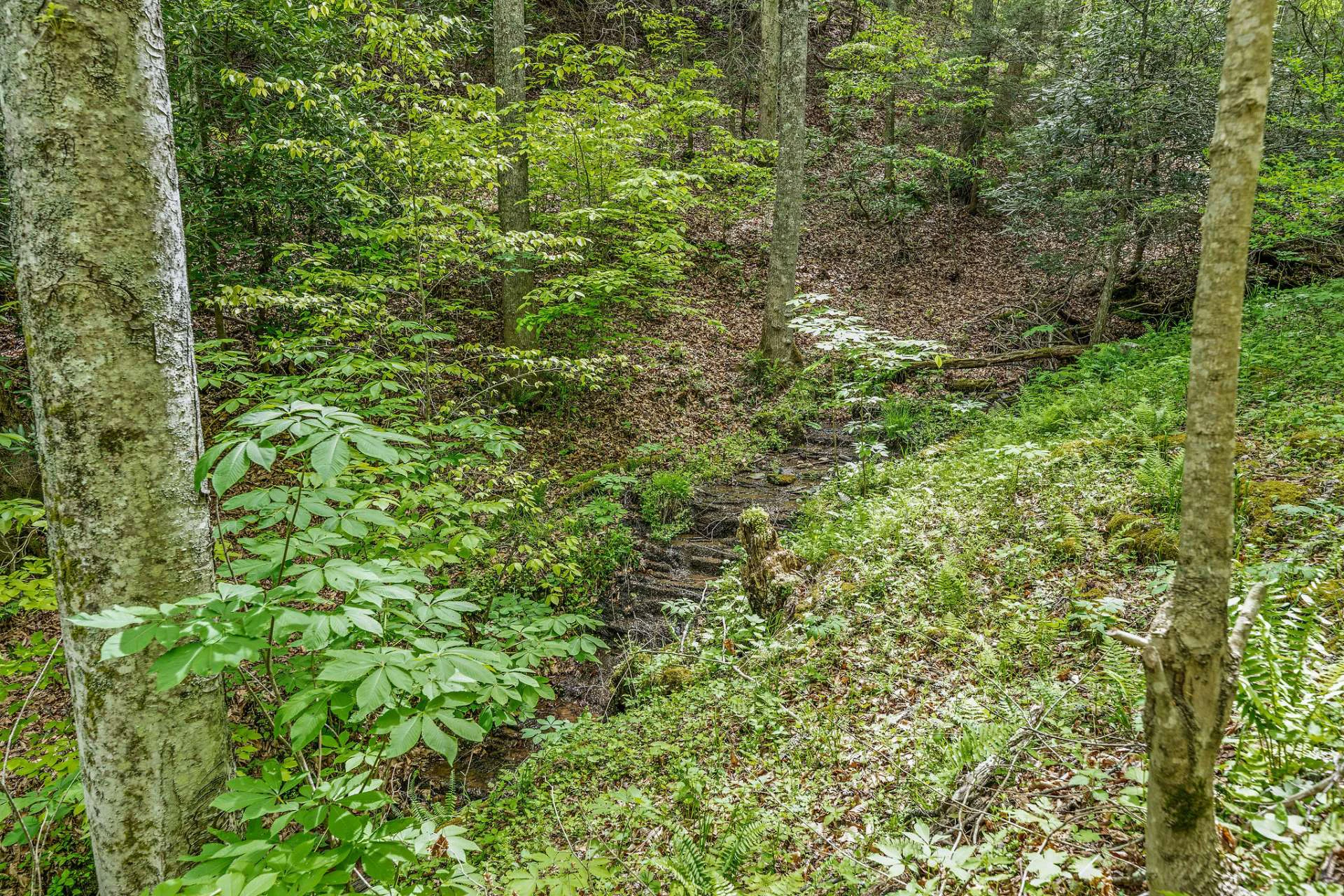 Image number 19 for the current listing