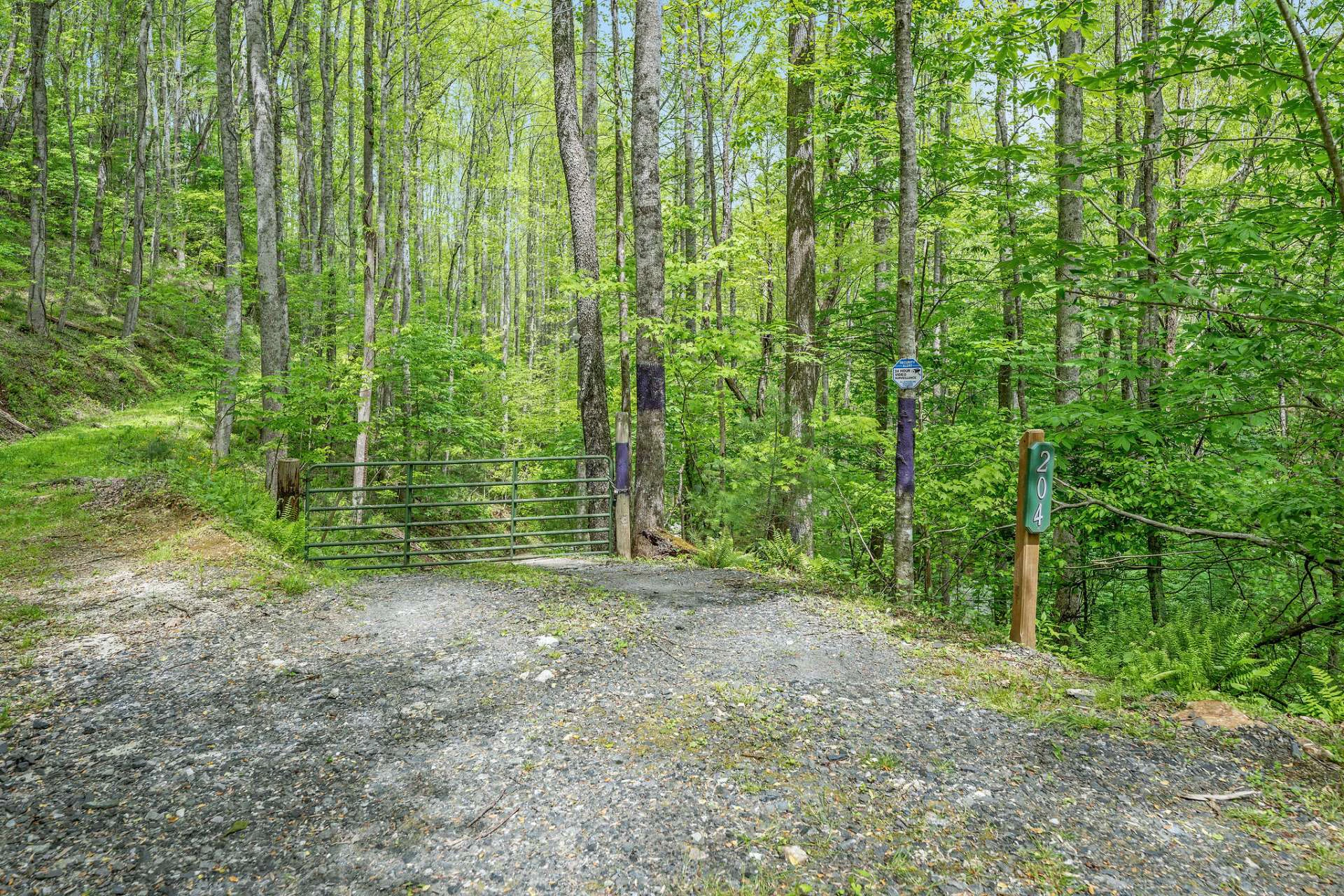 Image number 20 for the current listing