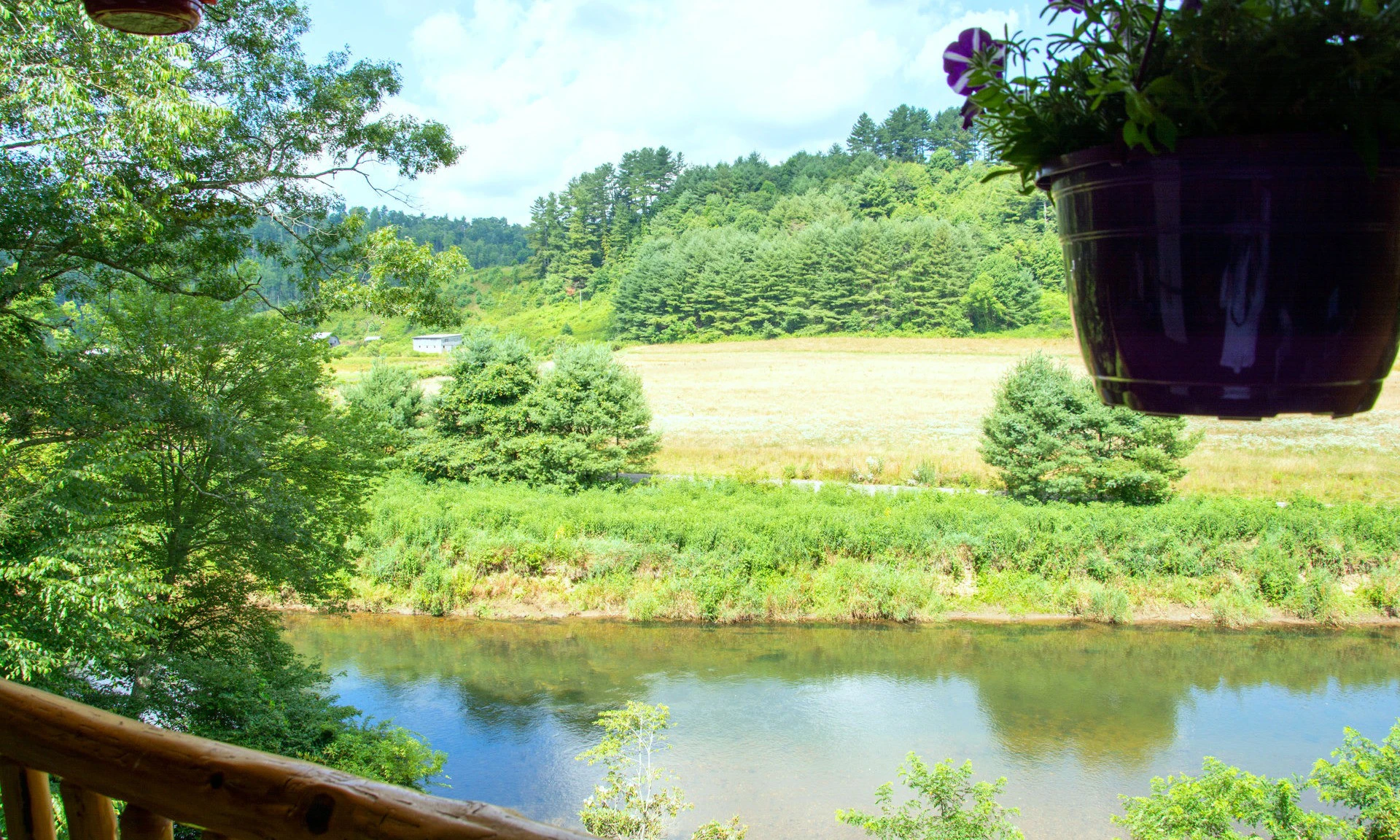 Image number 1 for the current listing