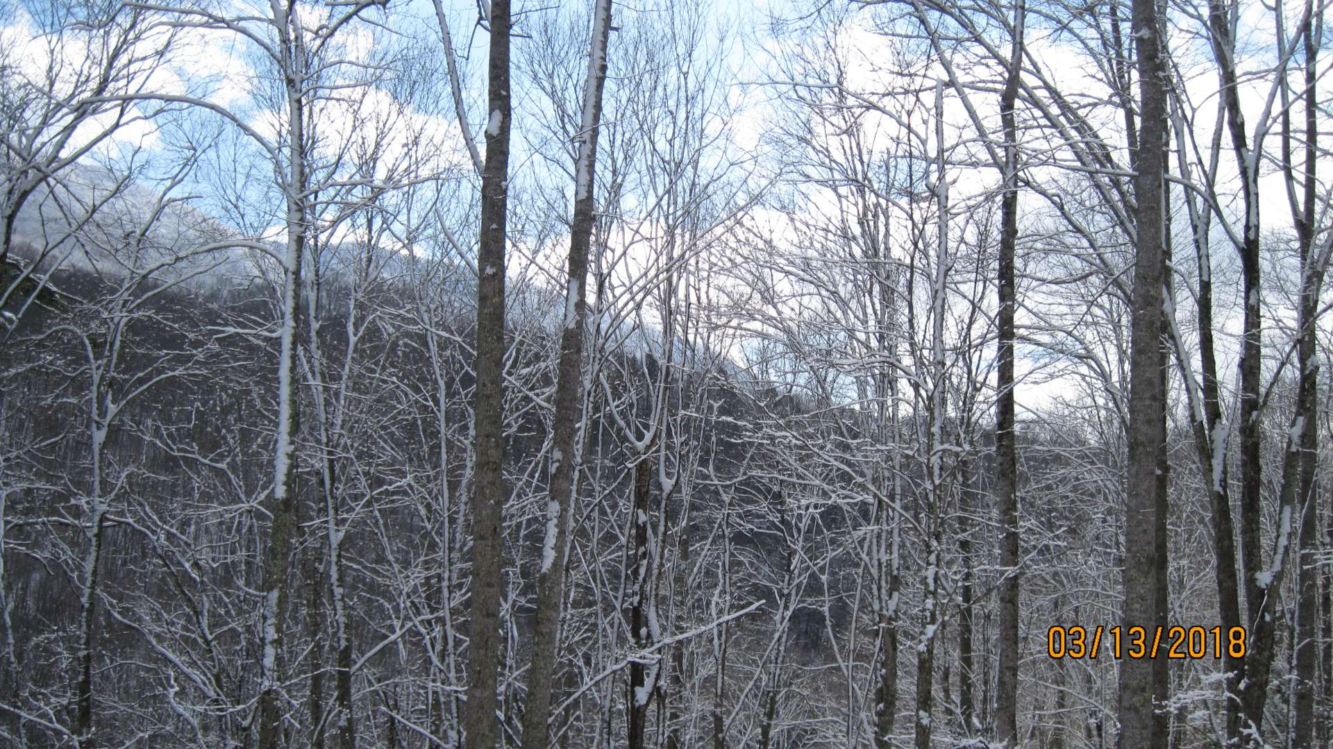 Image number 6 for the current listing
