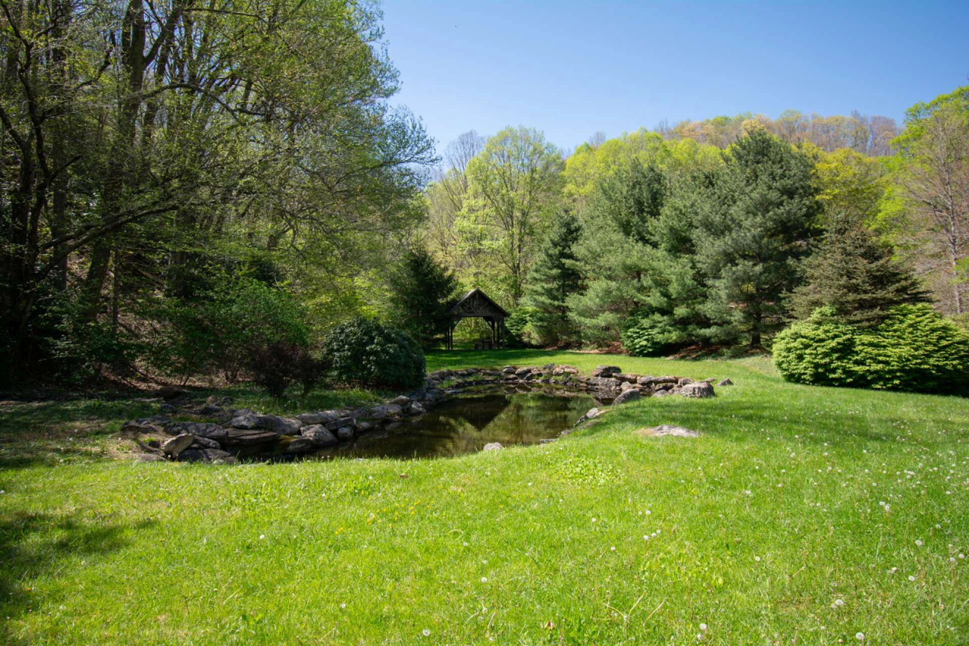 Image number 12 for the current listing