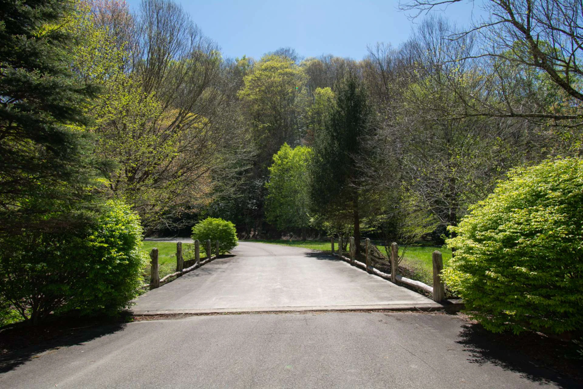 Image number 11 for the current listing