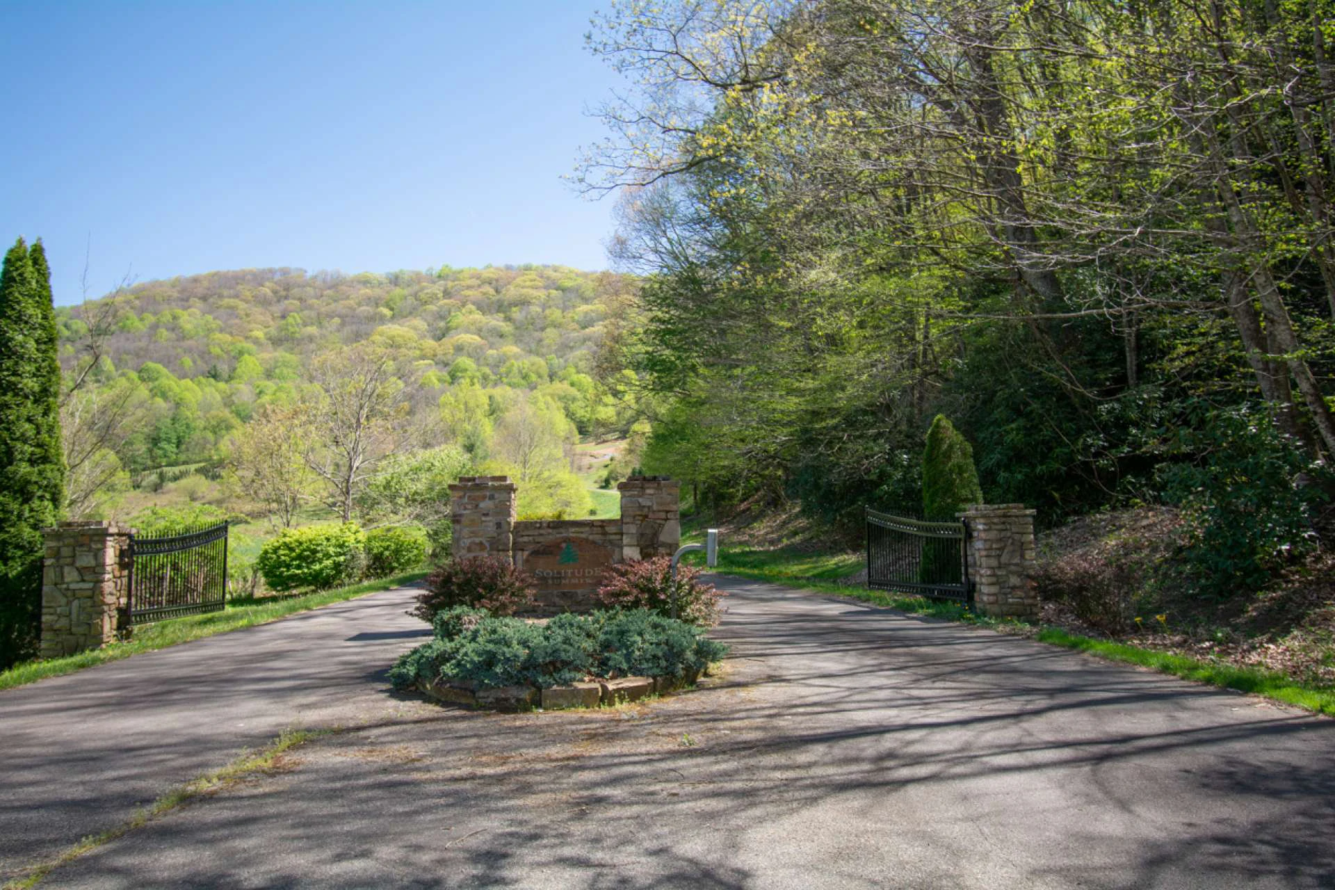 Image number 9 for the current listing