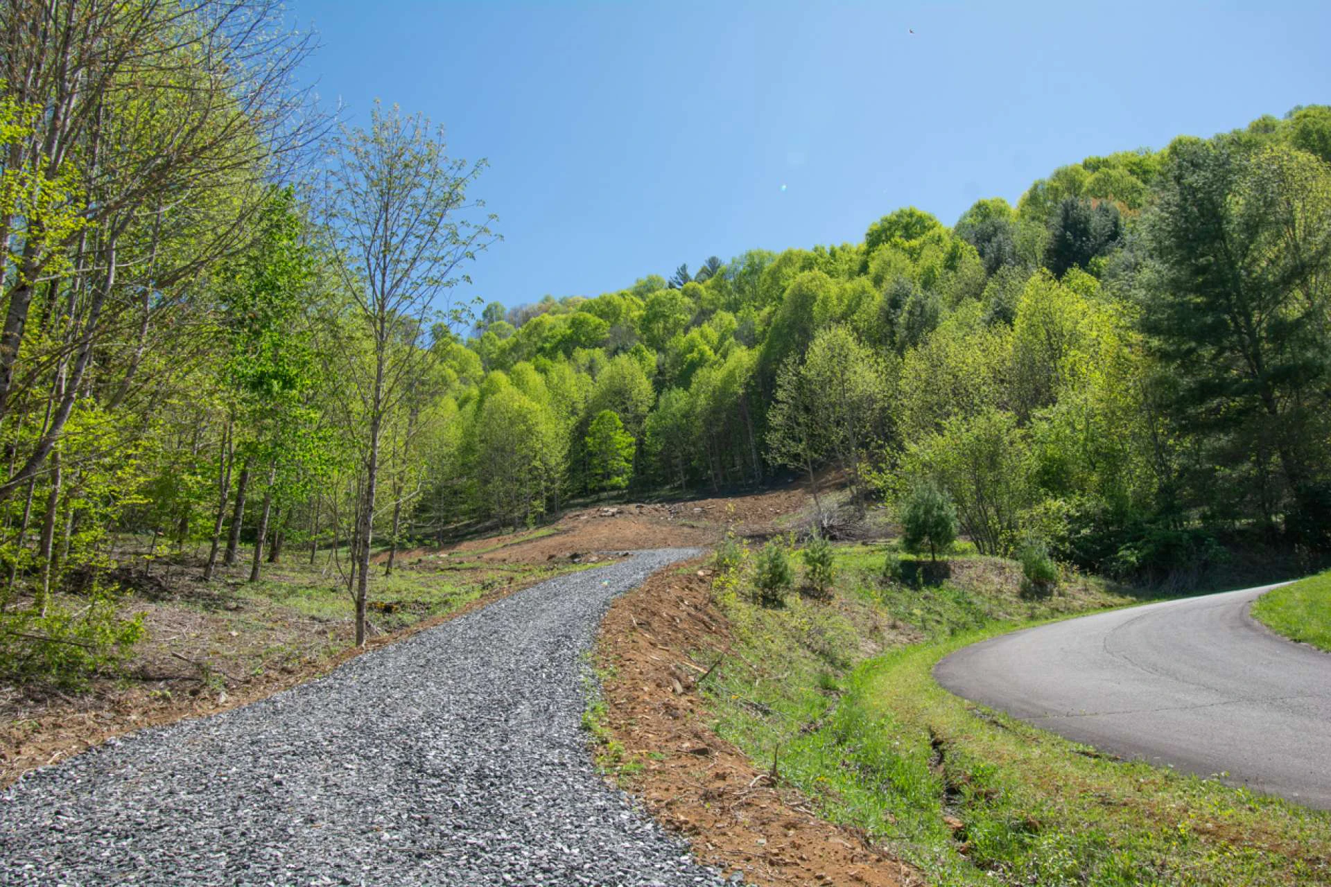 Image number 8 for the current listing