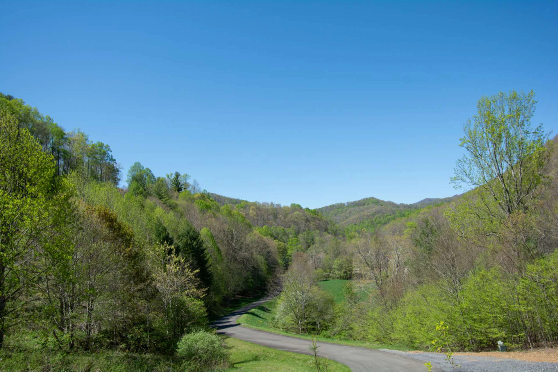 Image number 6 for the current listing