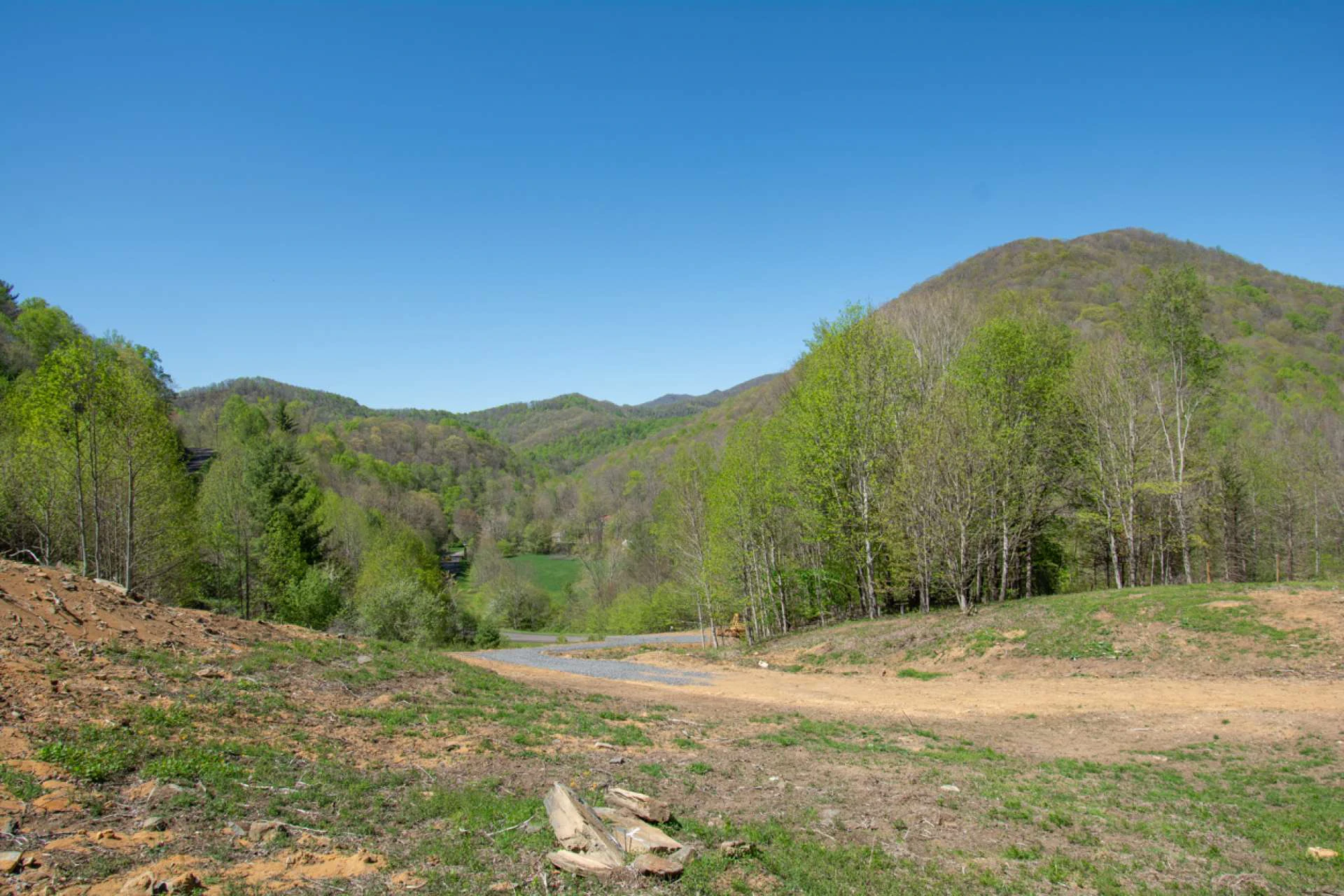 Image number 5 for the current listing