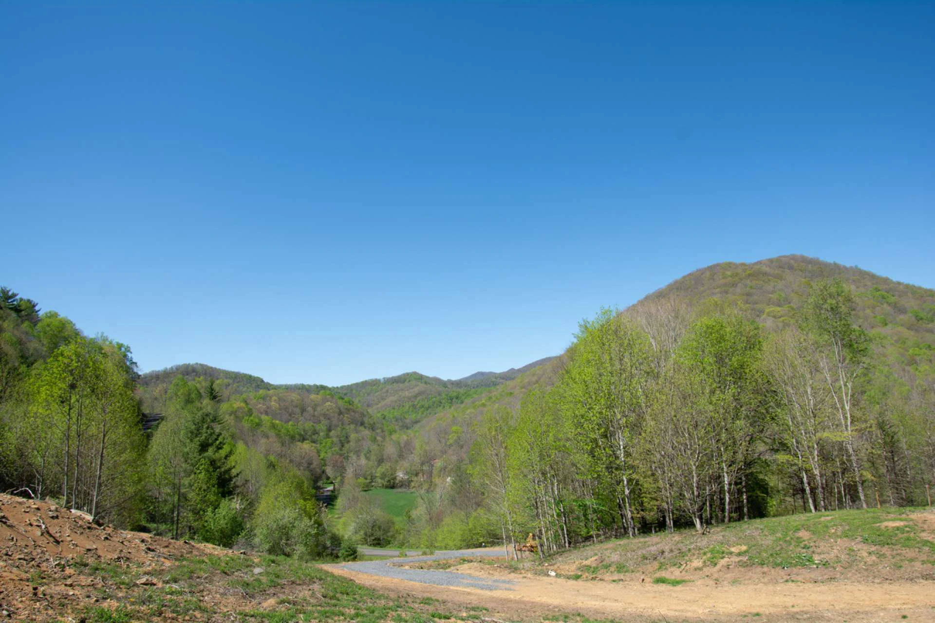 Image number 4 for the current listing