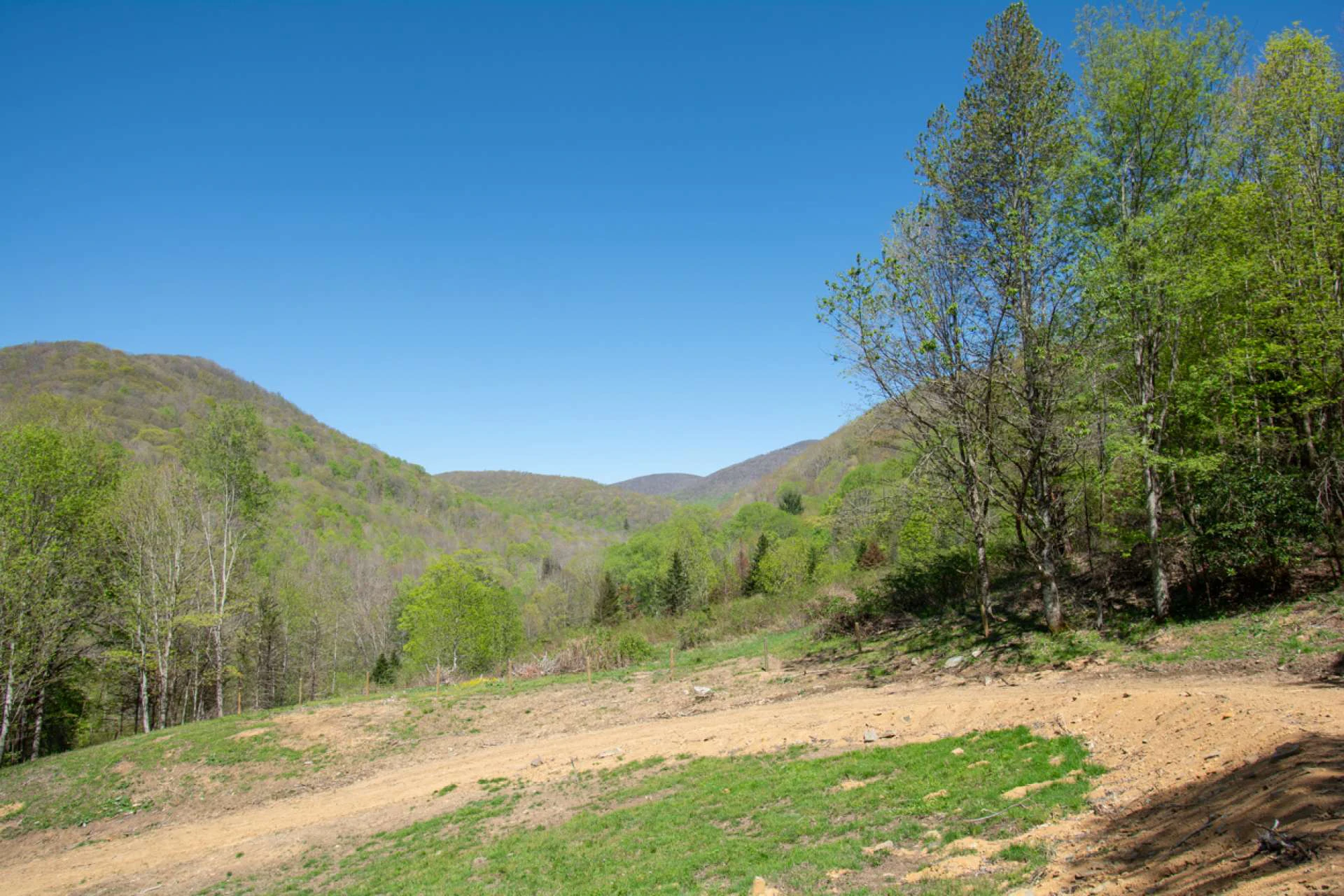 Image number 3 for the current listing