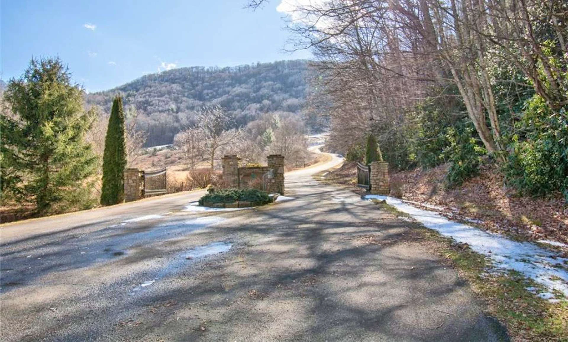 Image number 17 for the current listing