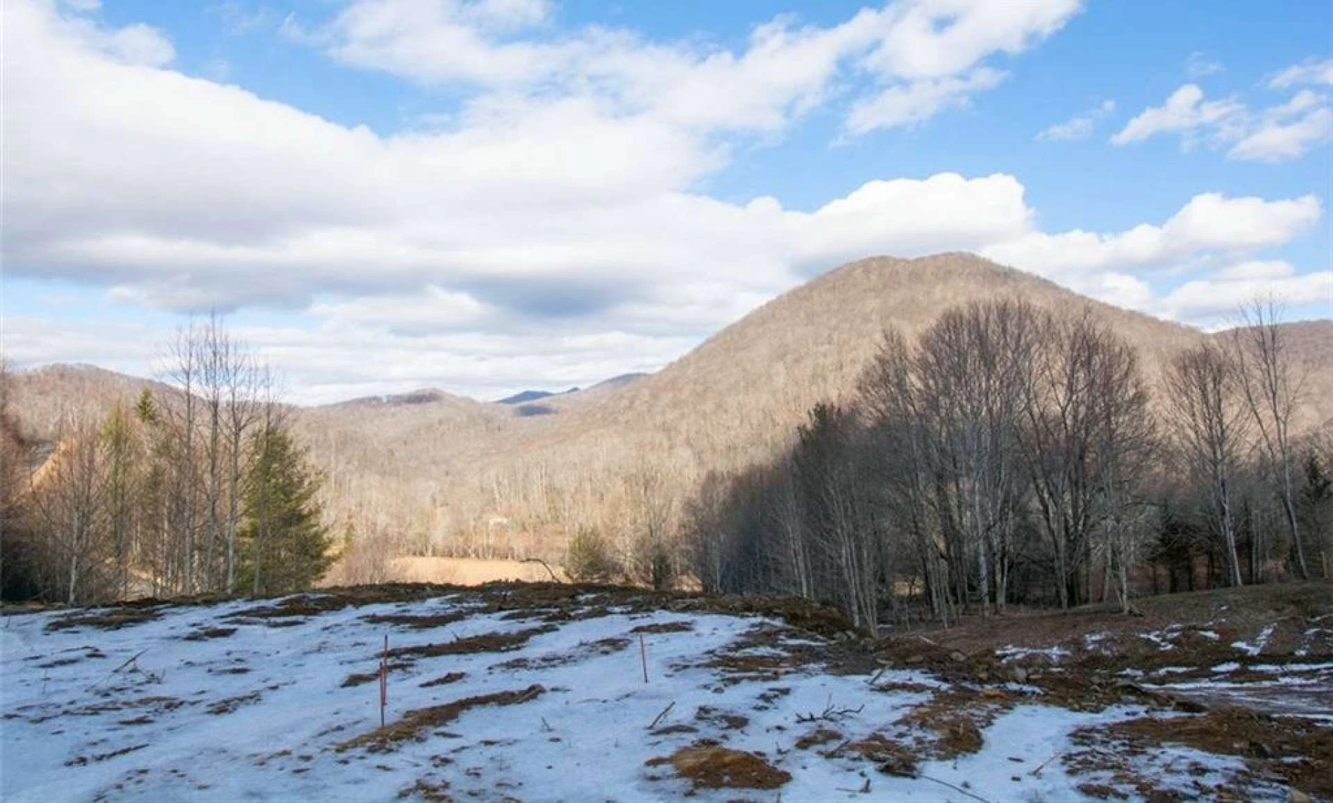 Image number 15 for the current listing