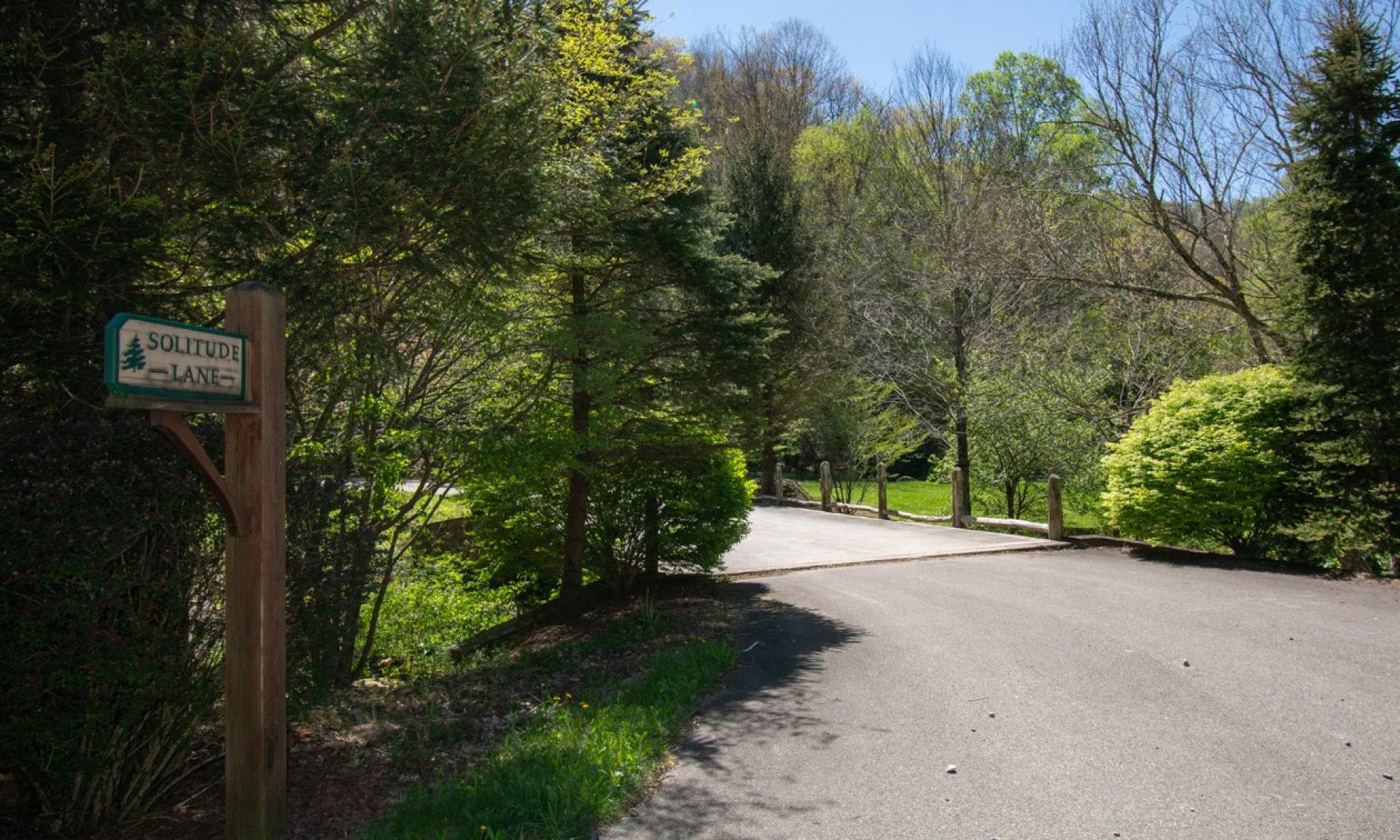 Image number 1 for the current listing
