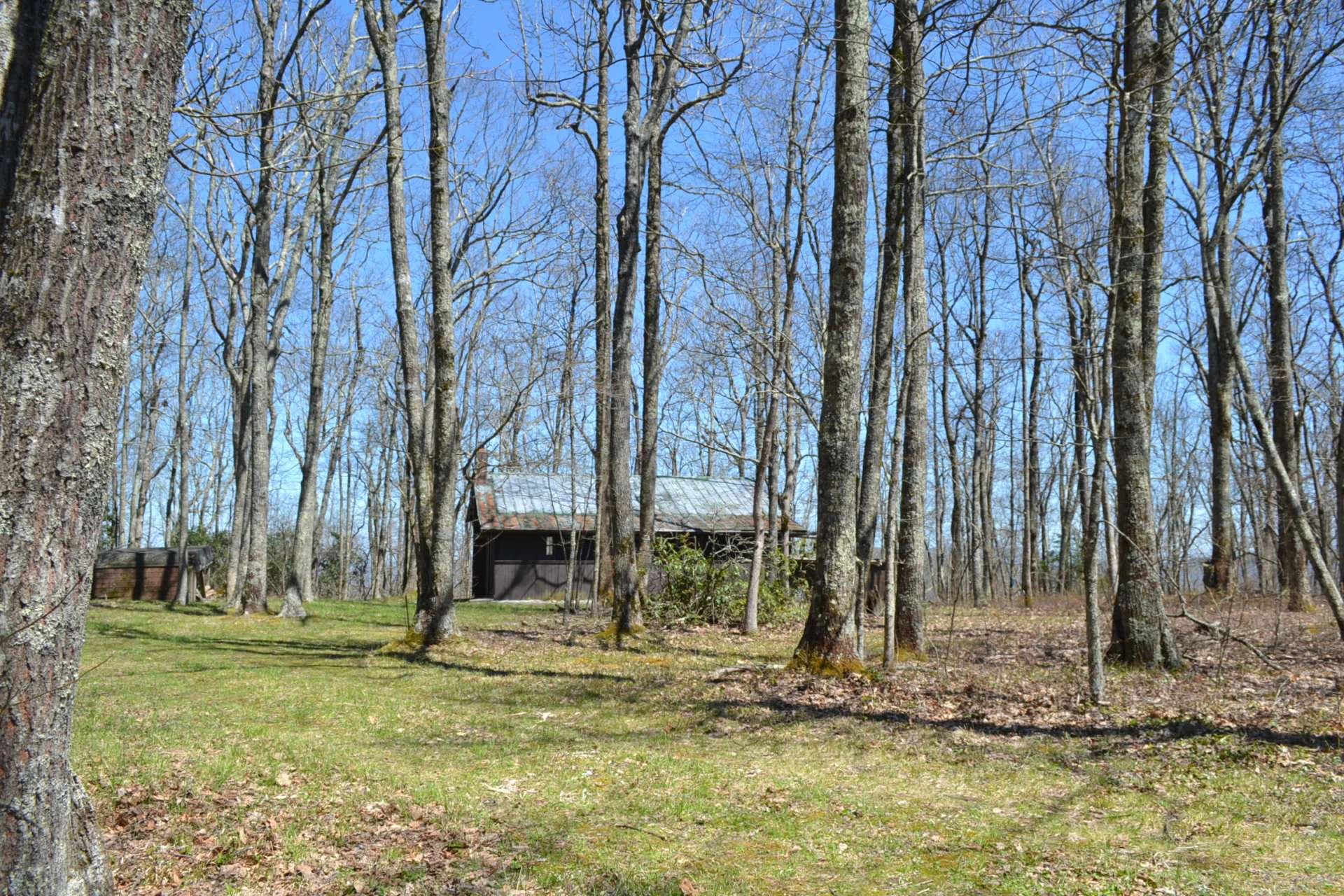 Image number 12 for the current listing