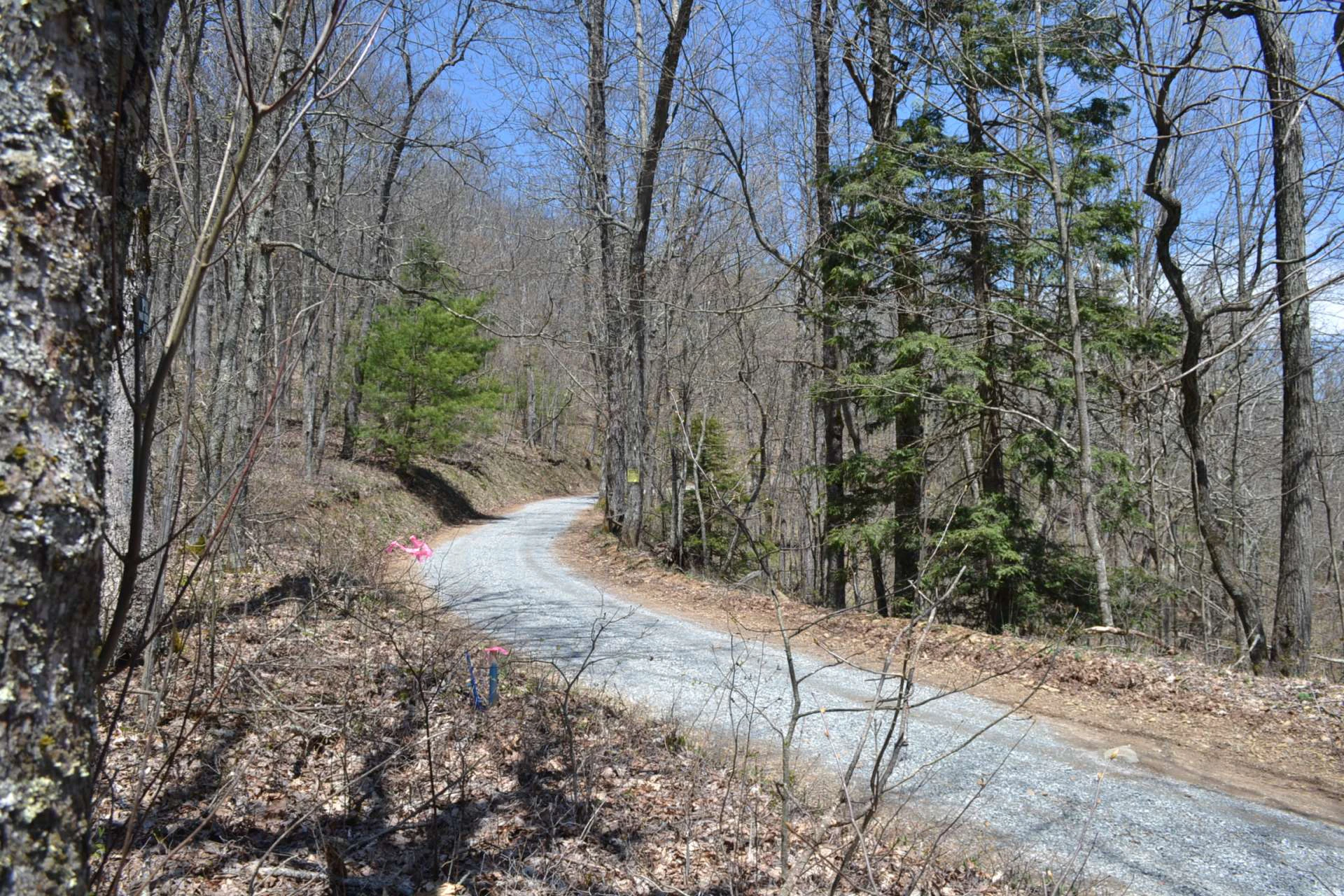 Image number 9 for the current listing