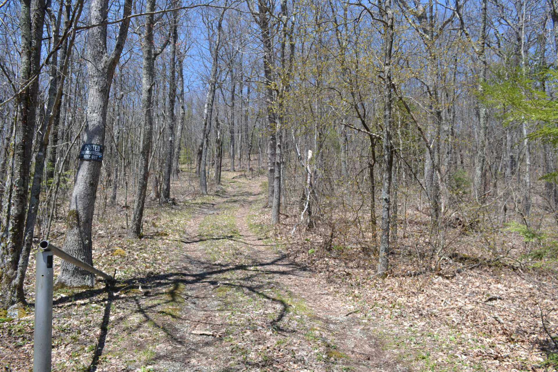 Image number 6 for the current listing