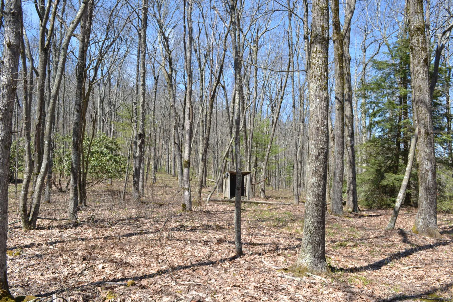 Image number 4 for the current listing