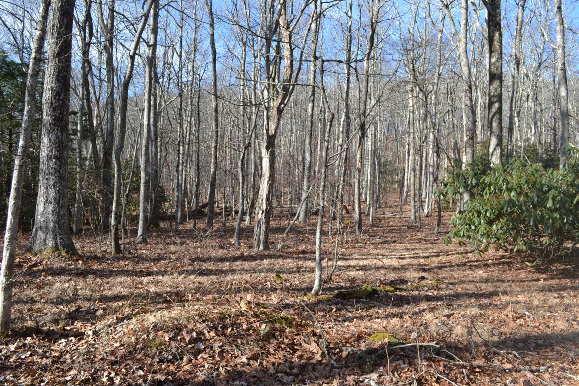 Image number 6 for the current listing