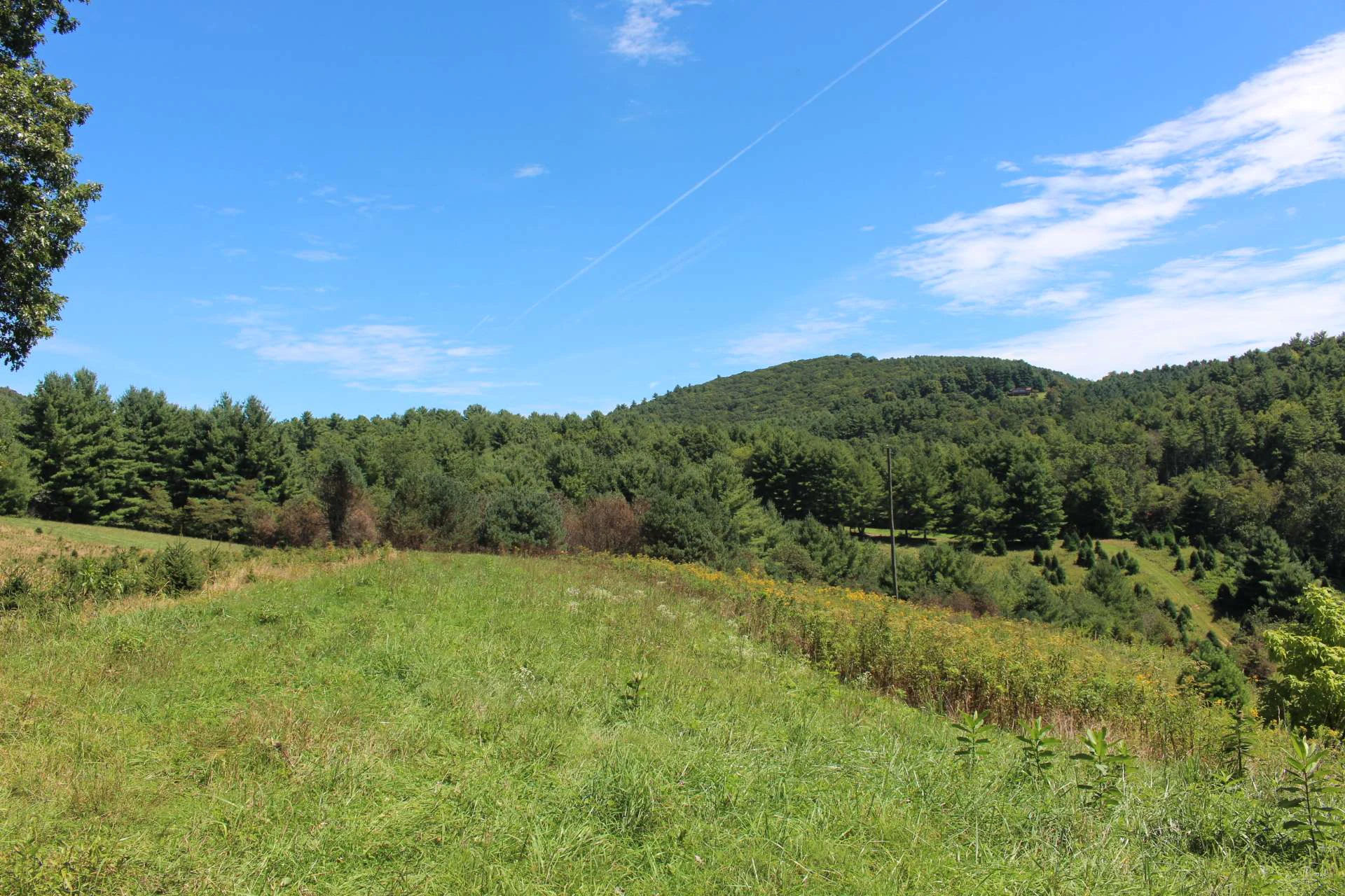 Image number 6 for the current listing