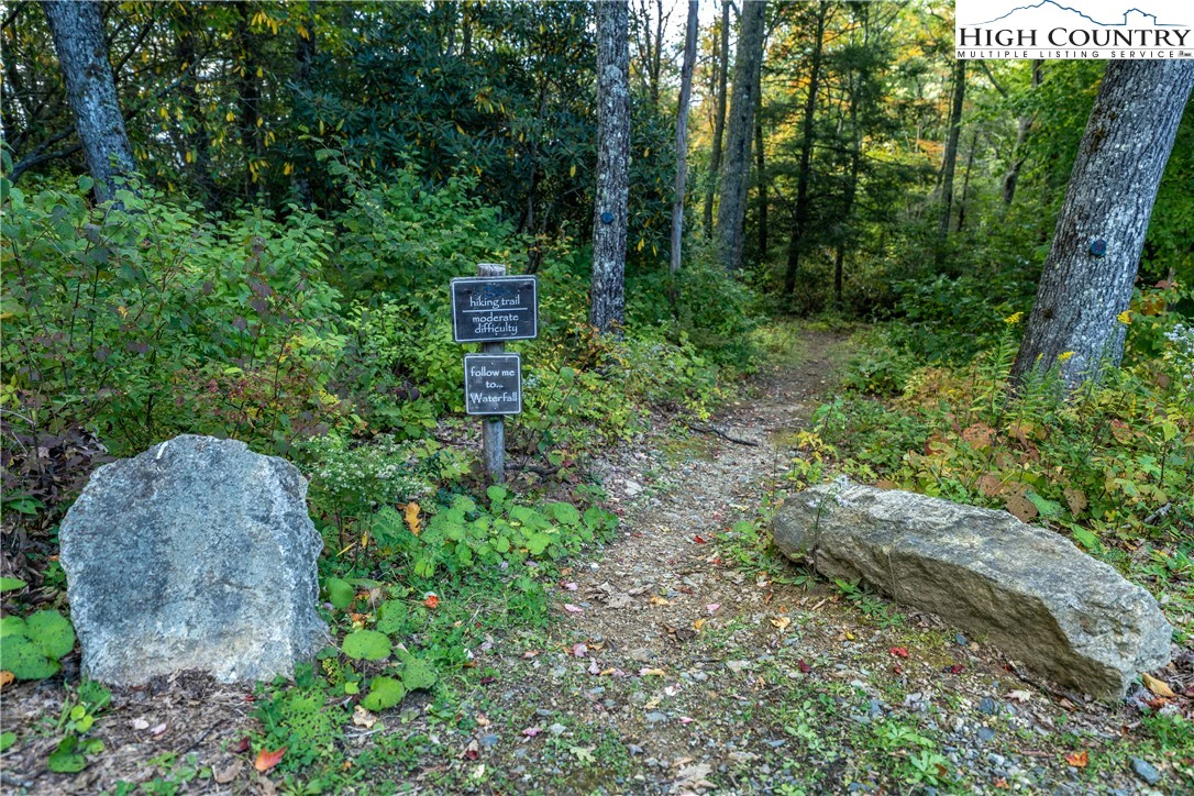 Image number 7 for the current listing