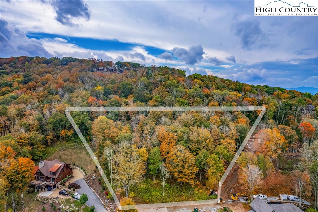 Image number 1 for the current listing