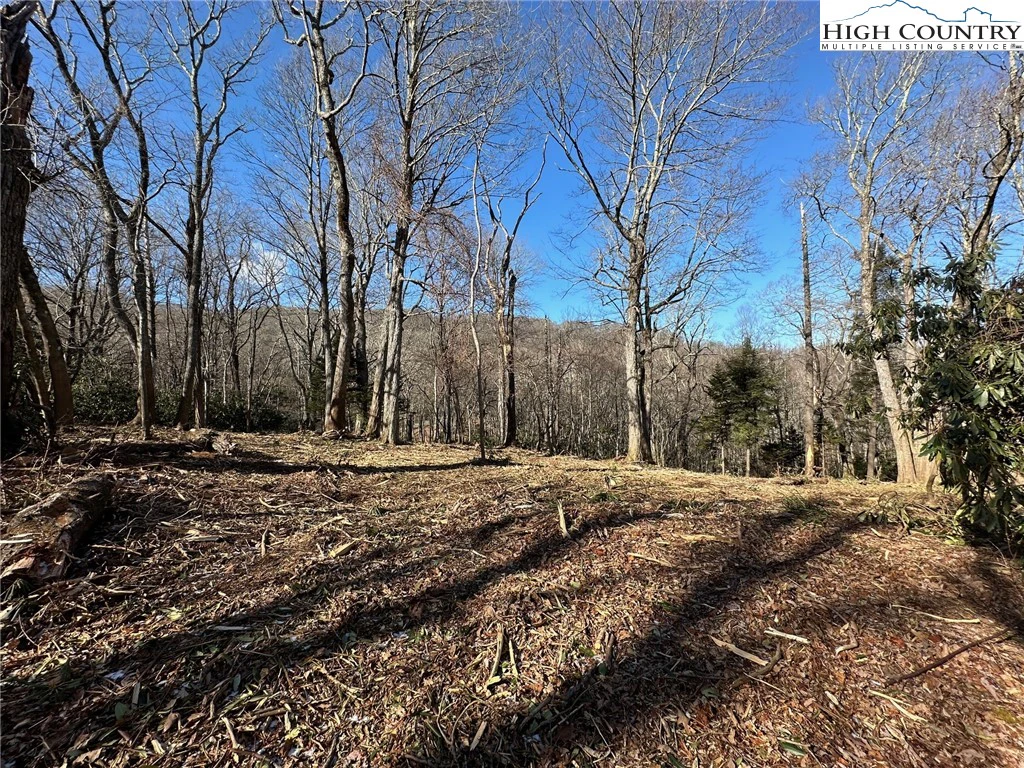 Image number 1 for the current listing