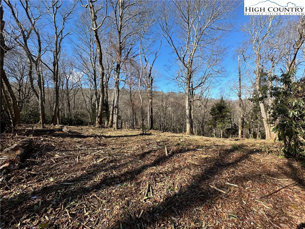 Image number 16 for the current listing