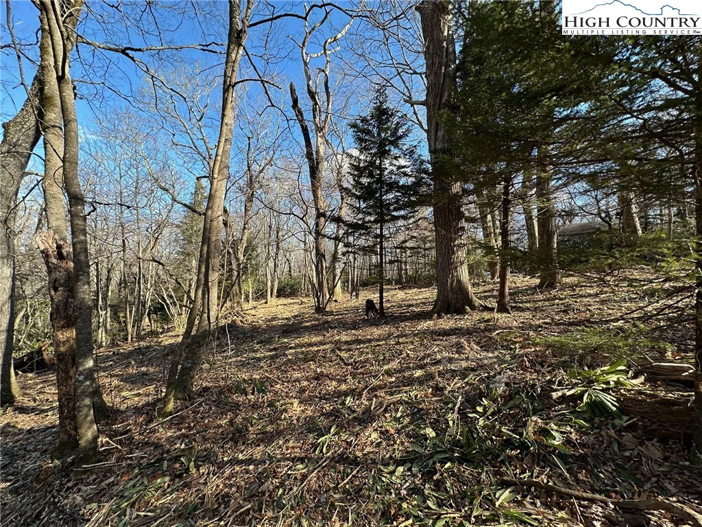 Image number 14 for the current listing