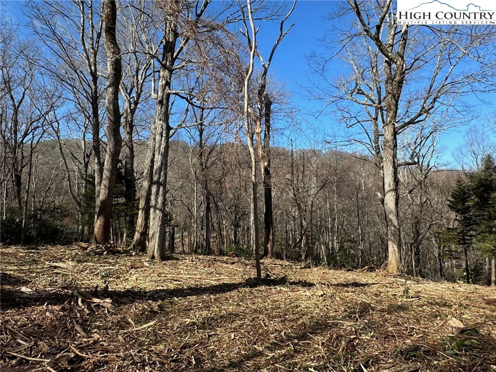 Image number 12 for the current listing