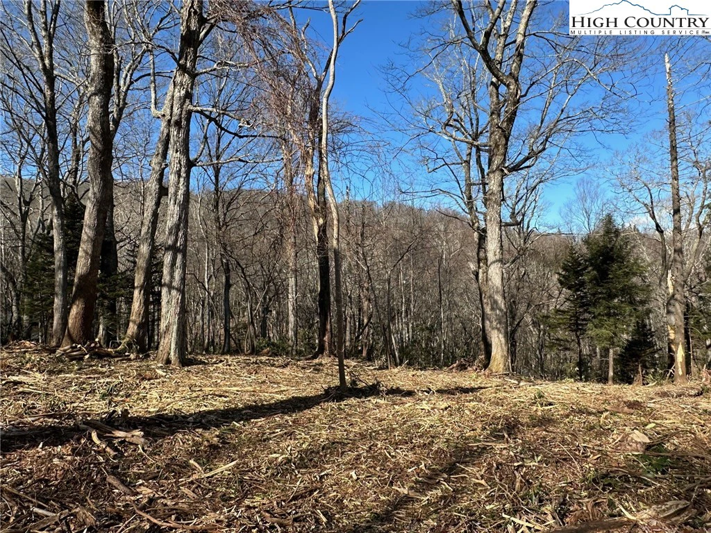 Image number 11 for the current listing