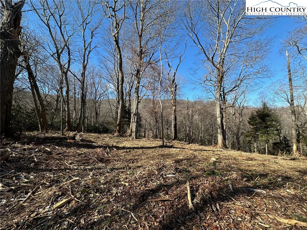 Image number 9 for the current listing