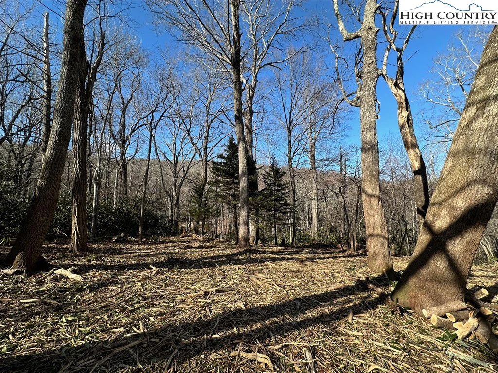 Image number 8 for the current listing
