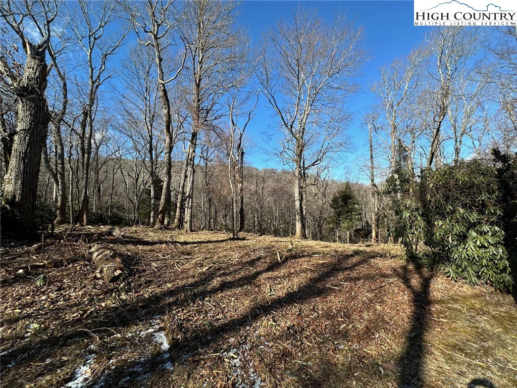 Image number 6 for the current listing
