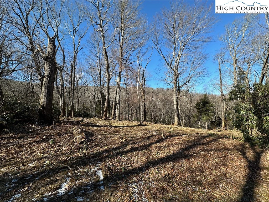Image number 5 for the current listing